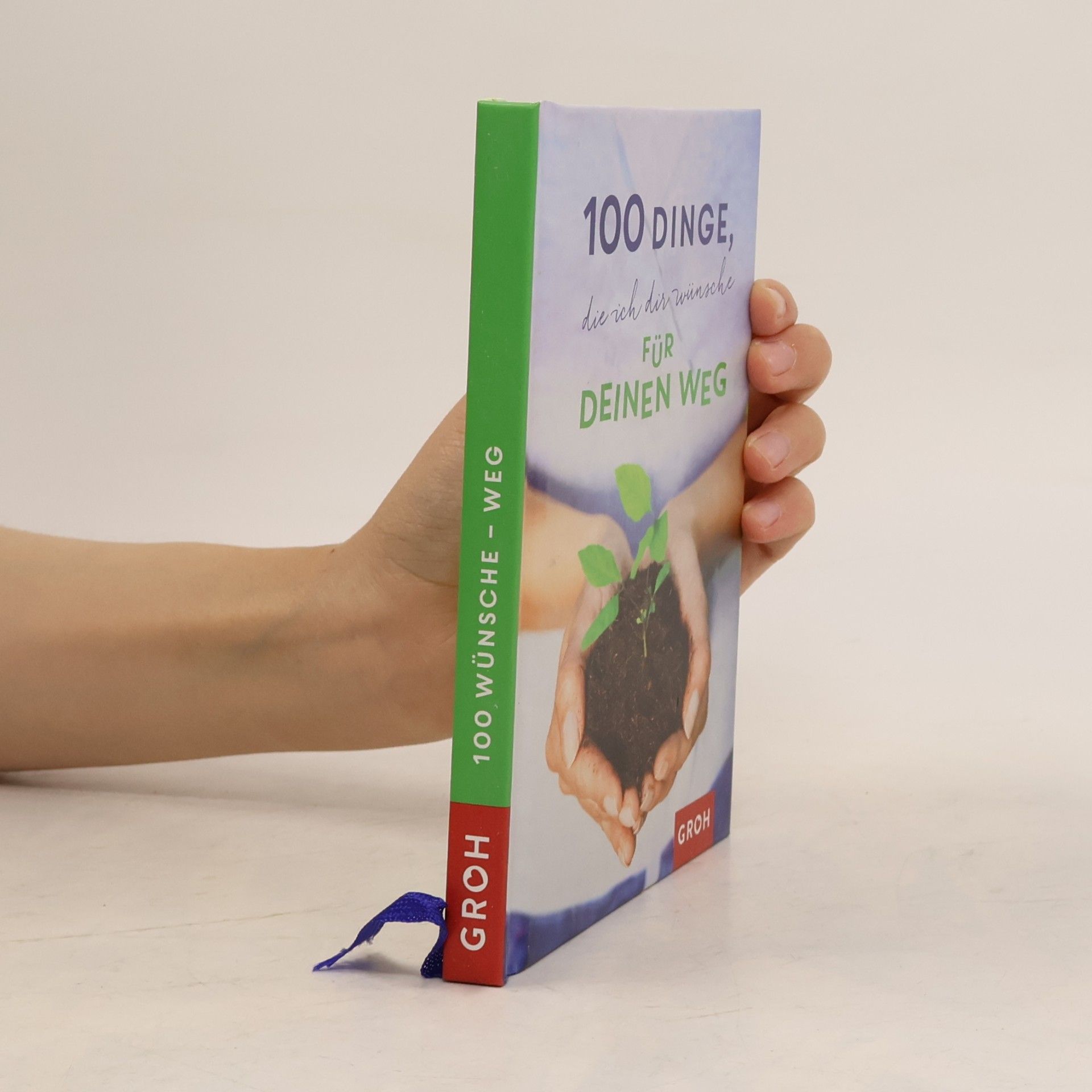 Joachim Groh 100 Dinge, die ich dir wünsche für deinen Weg