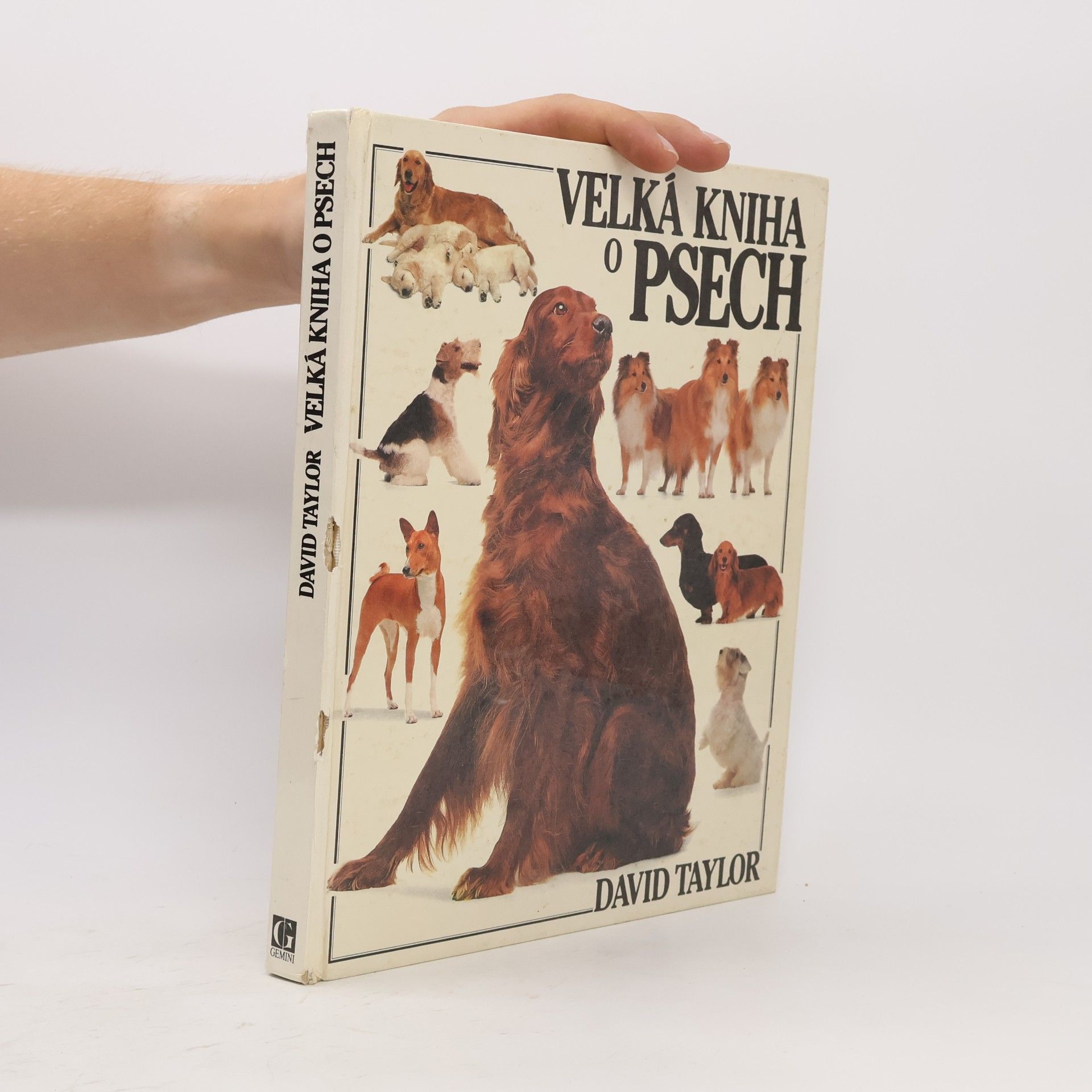 David Taylor Velká kniha o psech
