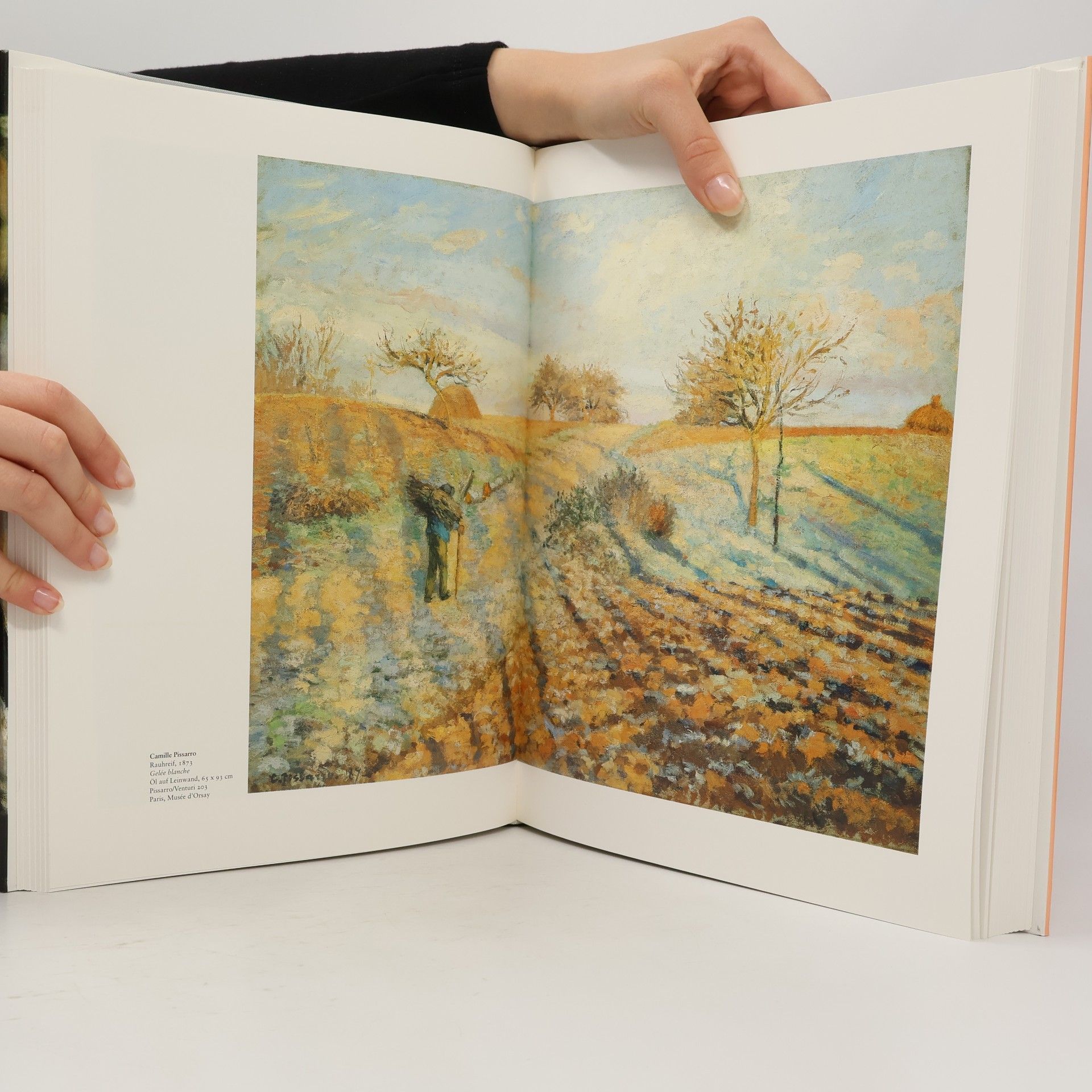 Ingo Walther Malerei des Impressionismus 1-2