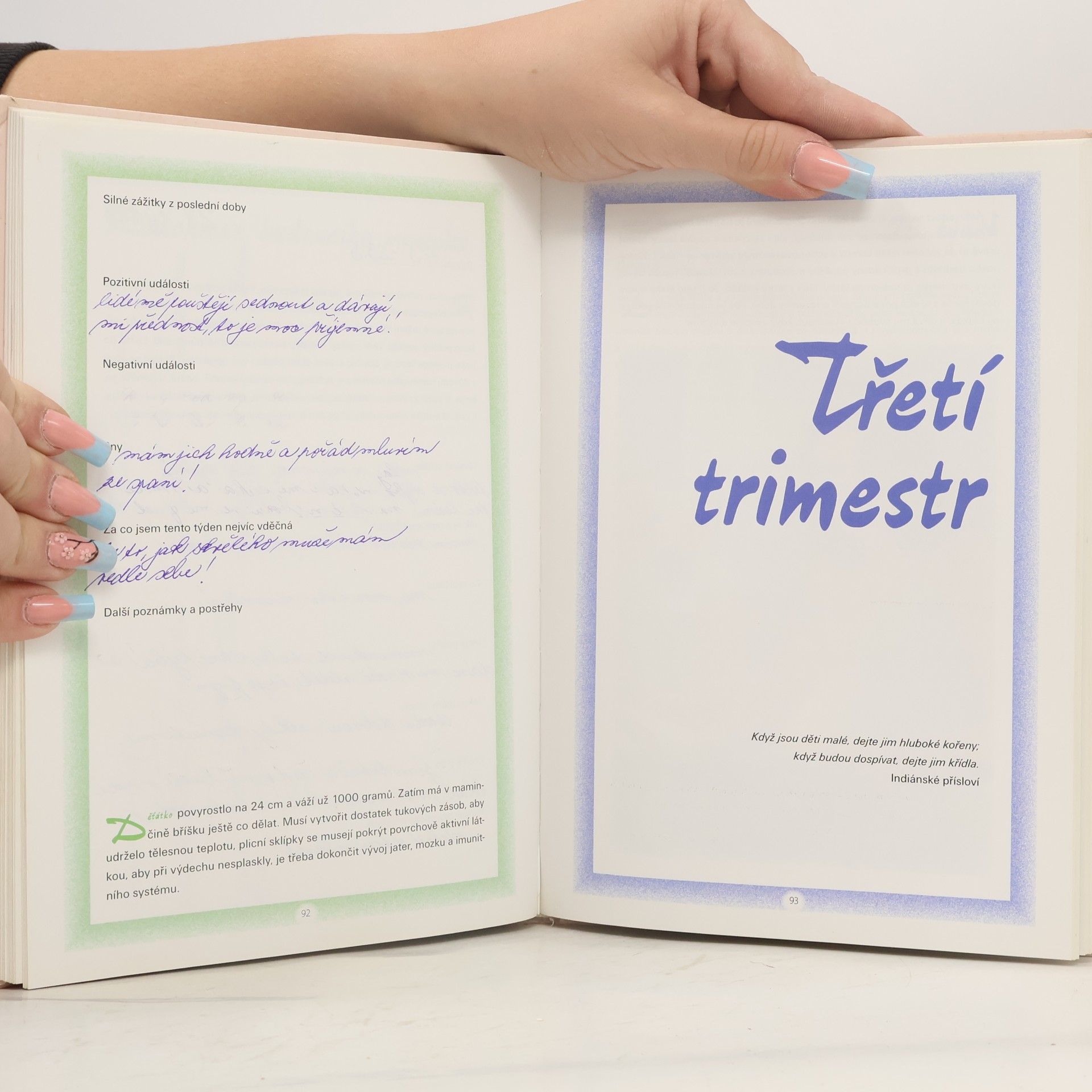 Kateřina Orlová Těhotenský deník
