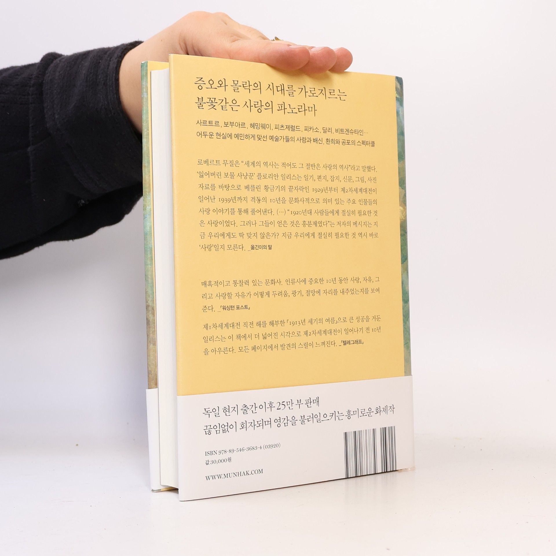 Florian Illies 증오의 시대, 광기의 사랑