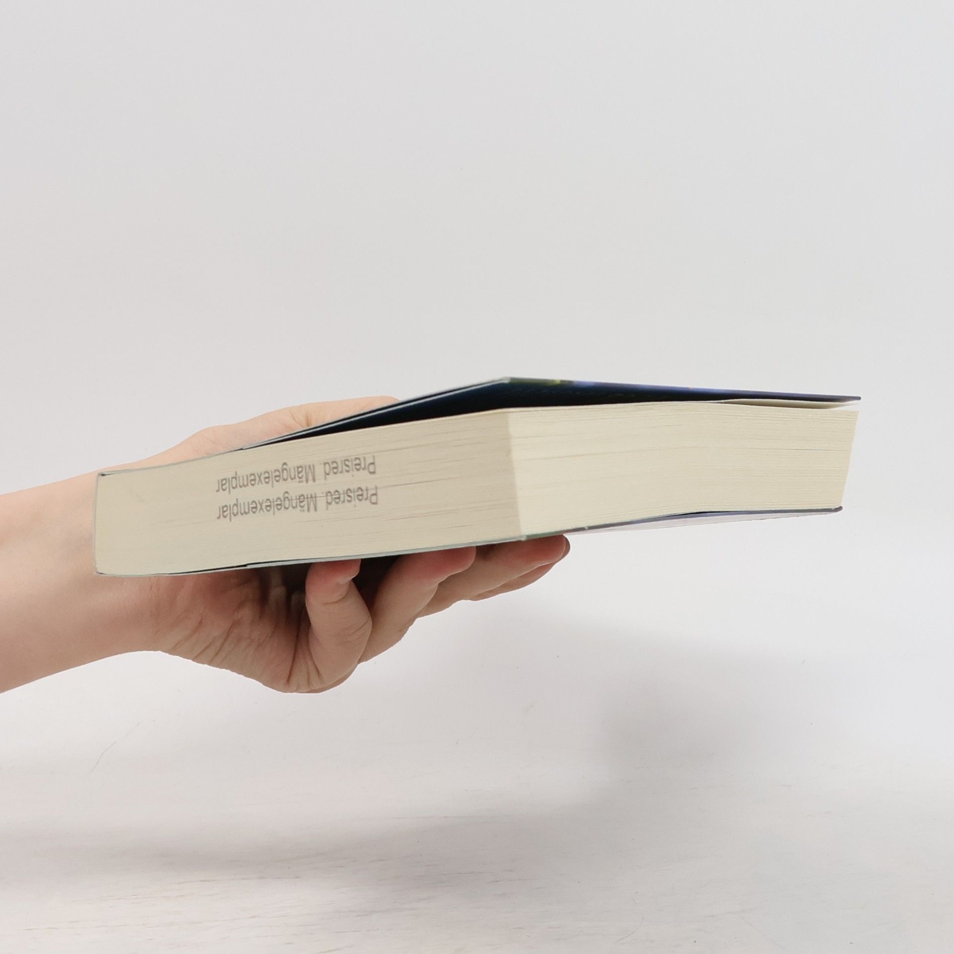 Autores varios Wattenmeerfeuer
