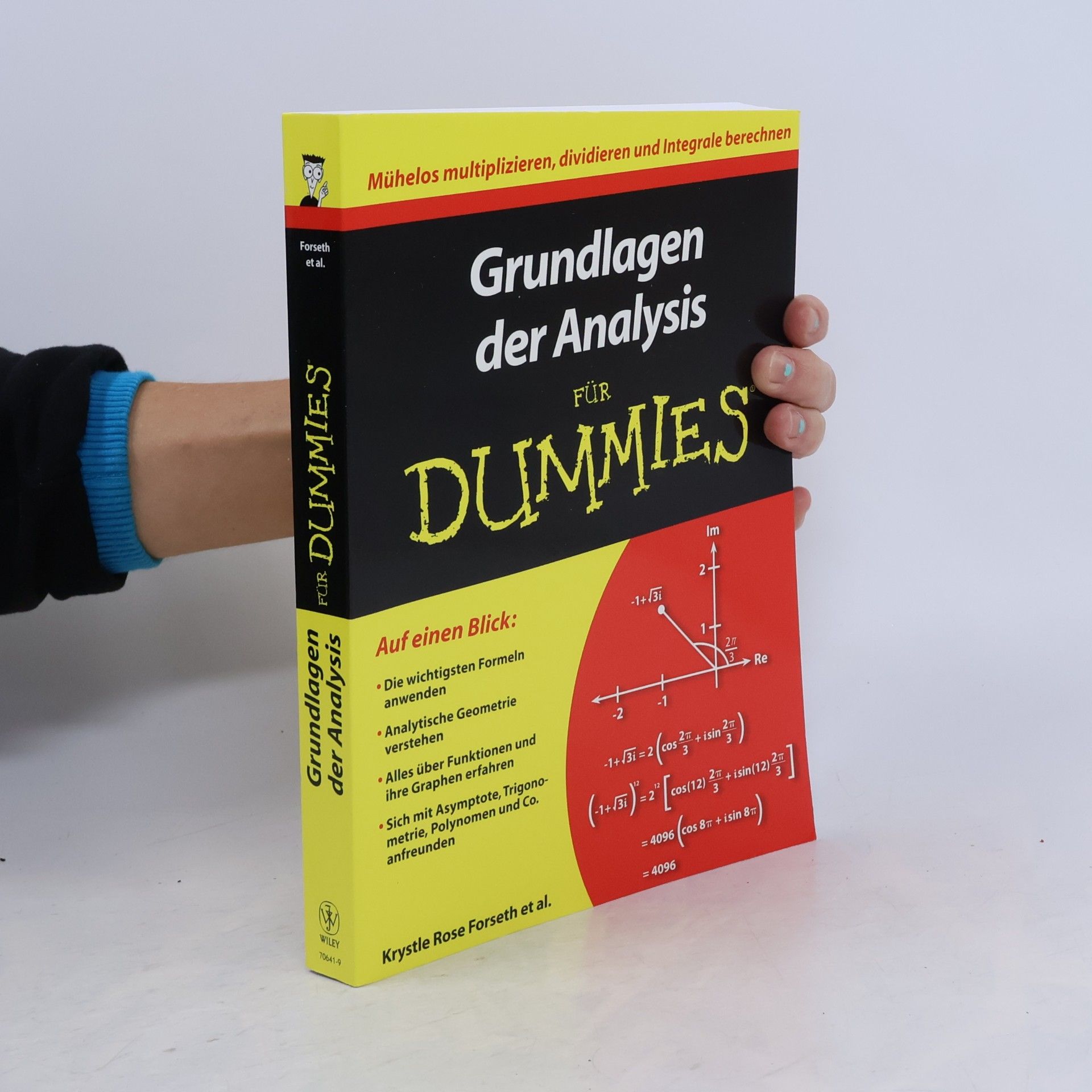 Krystle Rose Forseth Grundlagen der Analysis für Dummies