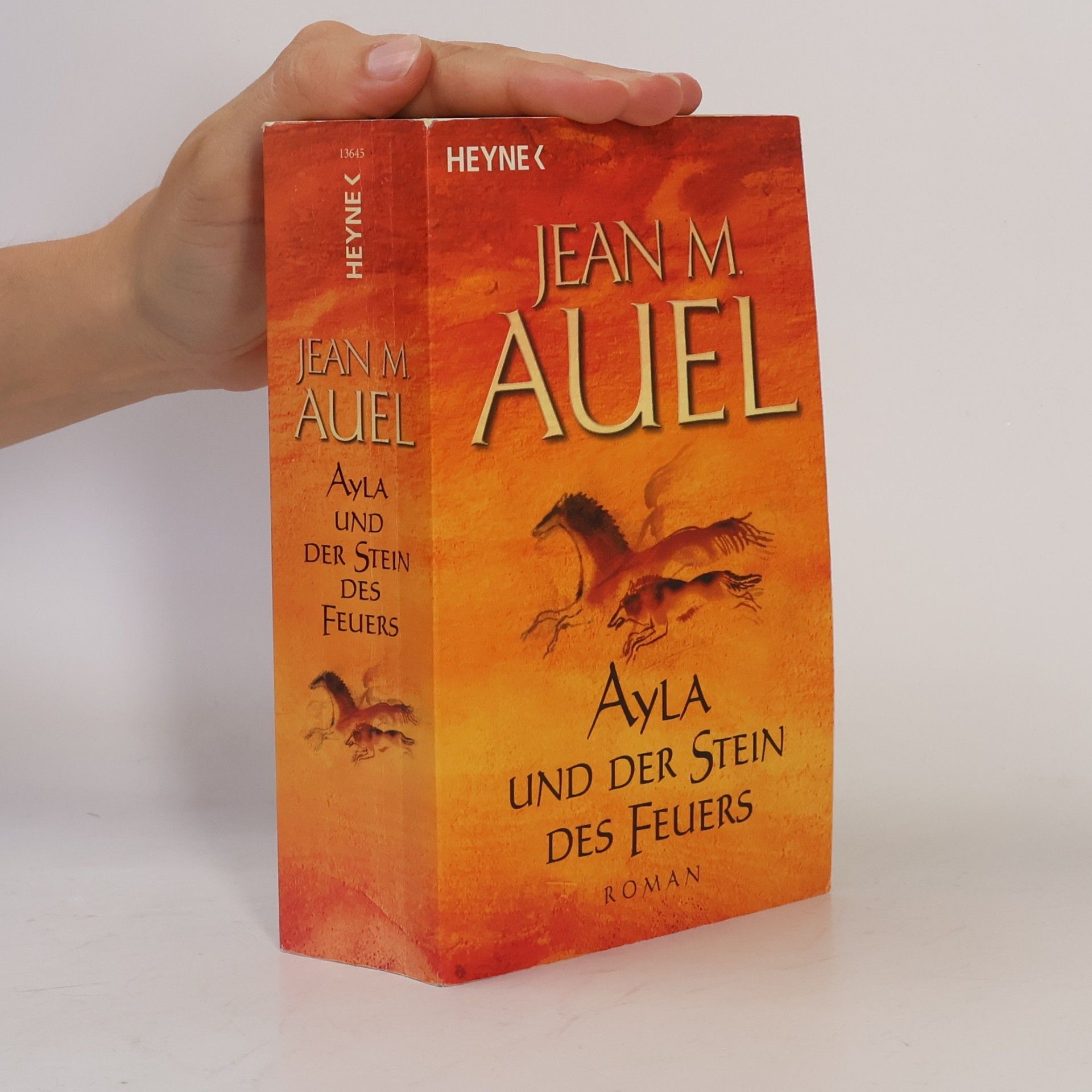 Jean M. Auelová Ayla und der Stein des Feuers