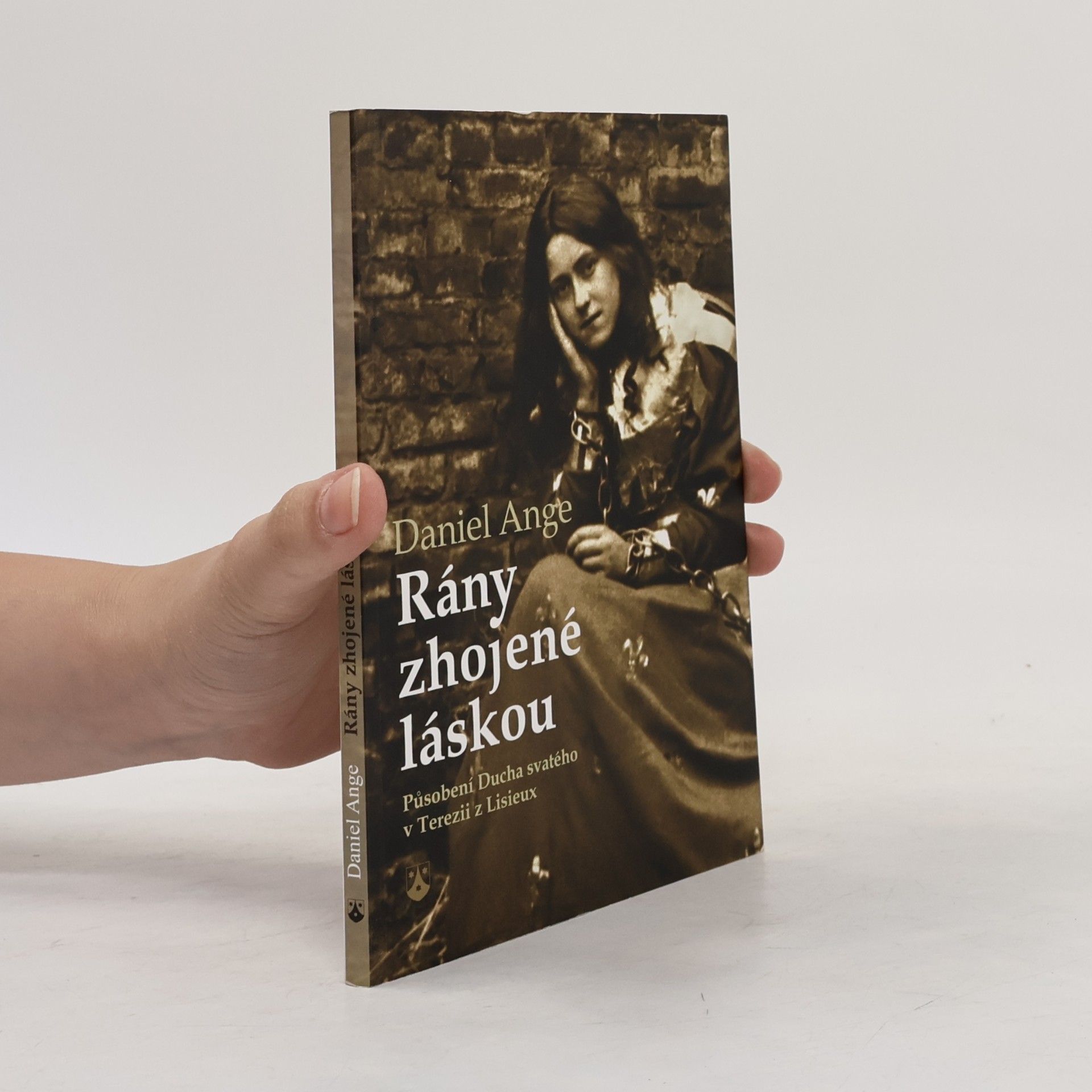 Daniel Ange Rány zhojené láskou