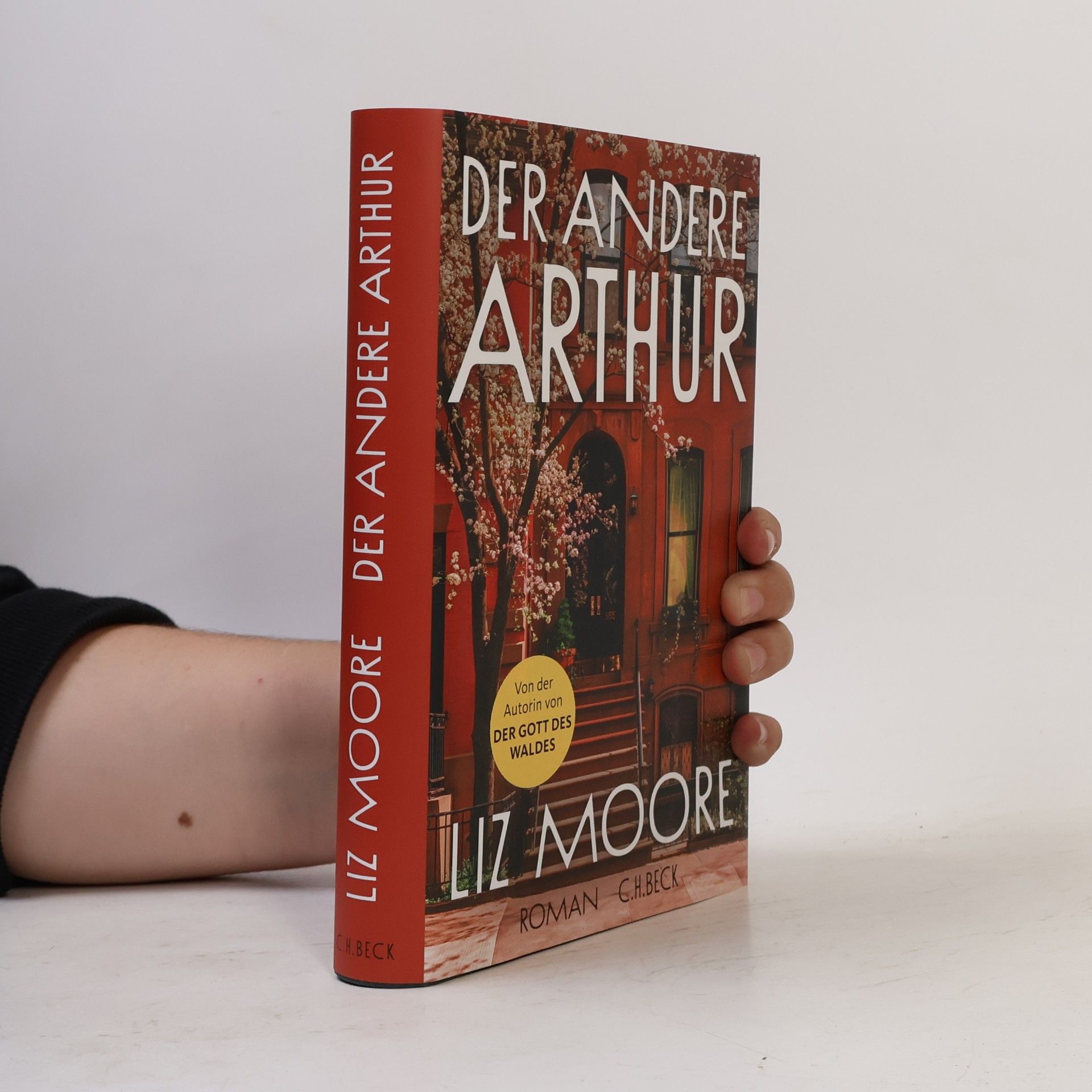 Liz Moore Der andere Arthur