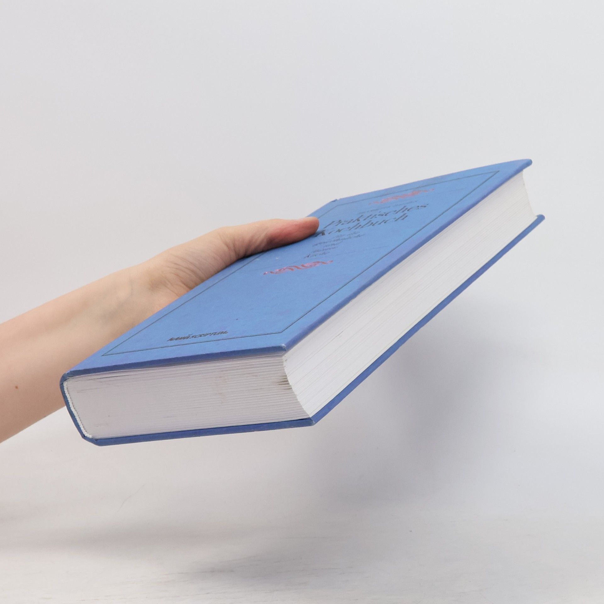 Henriette Davidis Praktisches Kochbuch für die gewöhnliche und feinere Küche