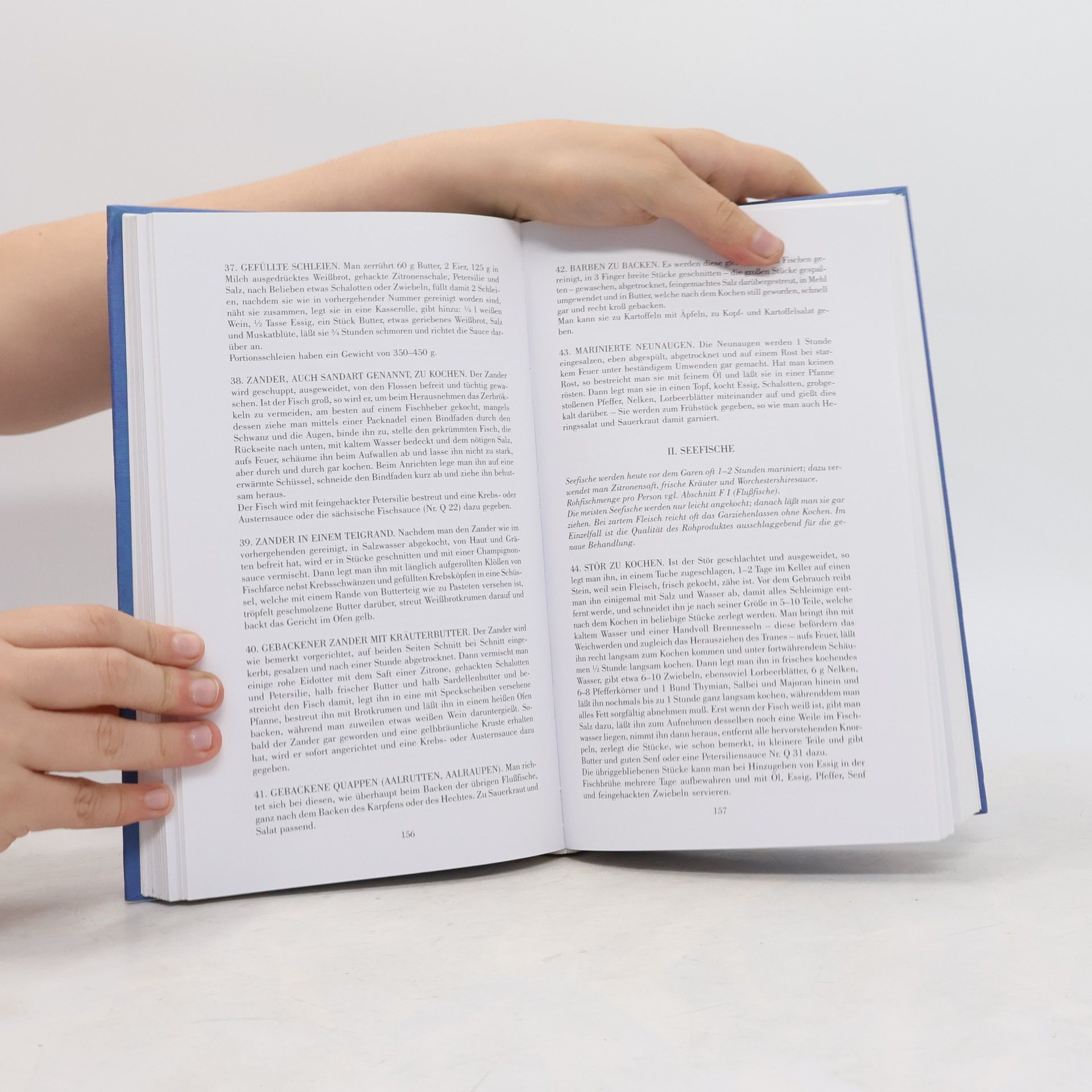 Henriette Davidis Praktisches Kochbuch für die gewöhnliche und feinere Küche