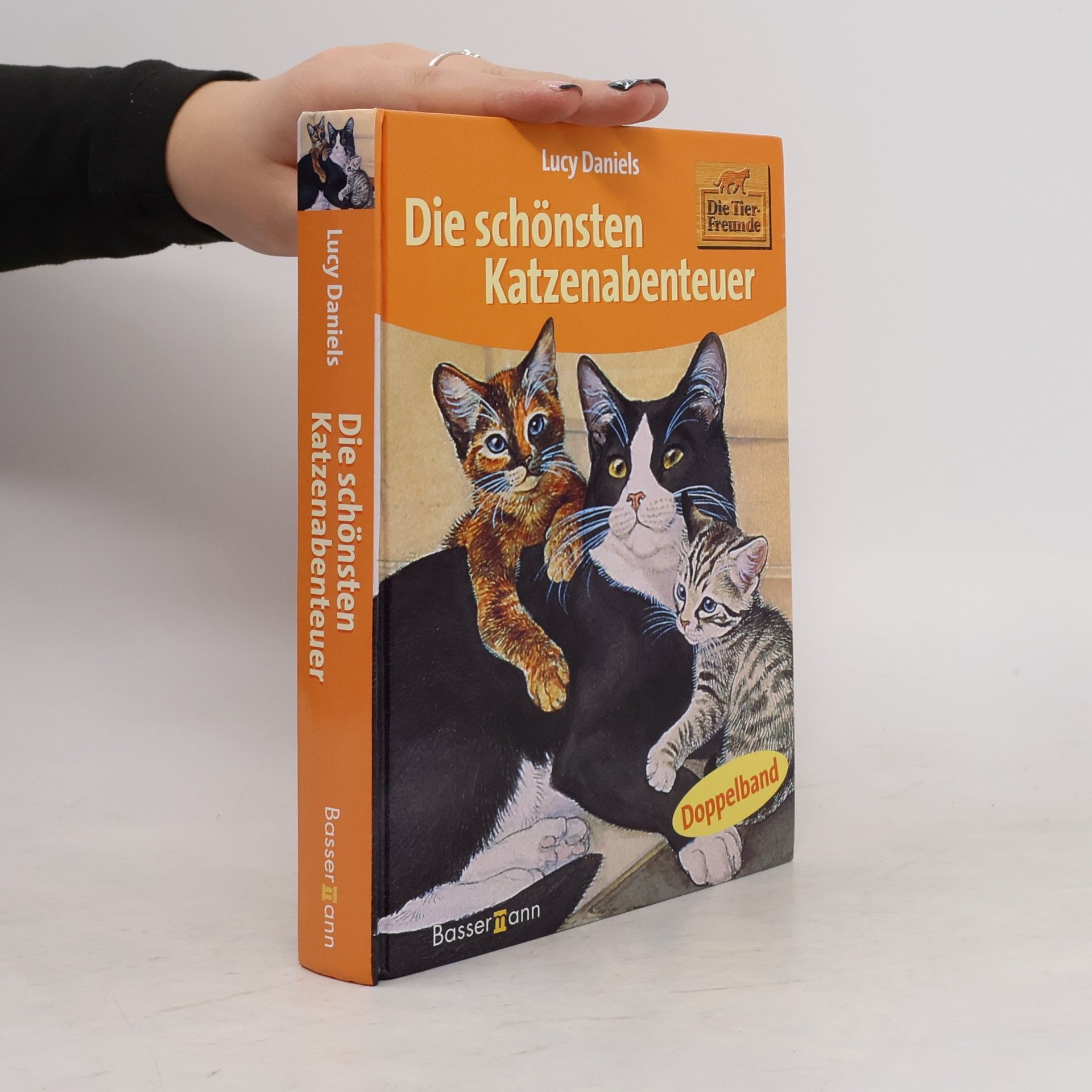 Die schönsten Katzenabenteuer