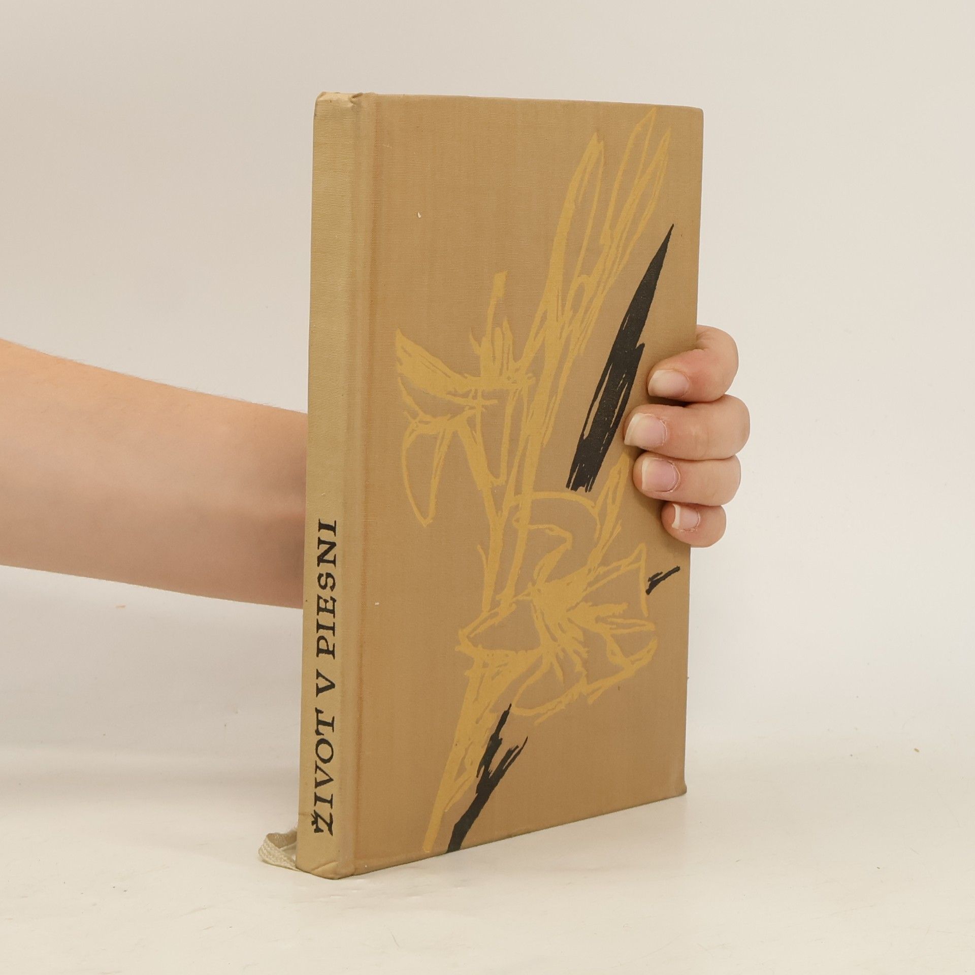Various authors Život v piesni