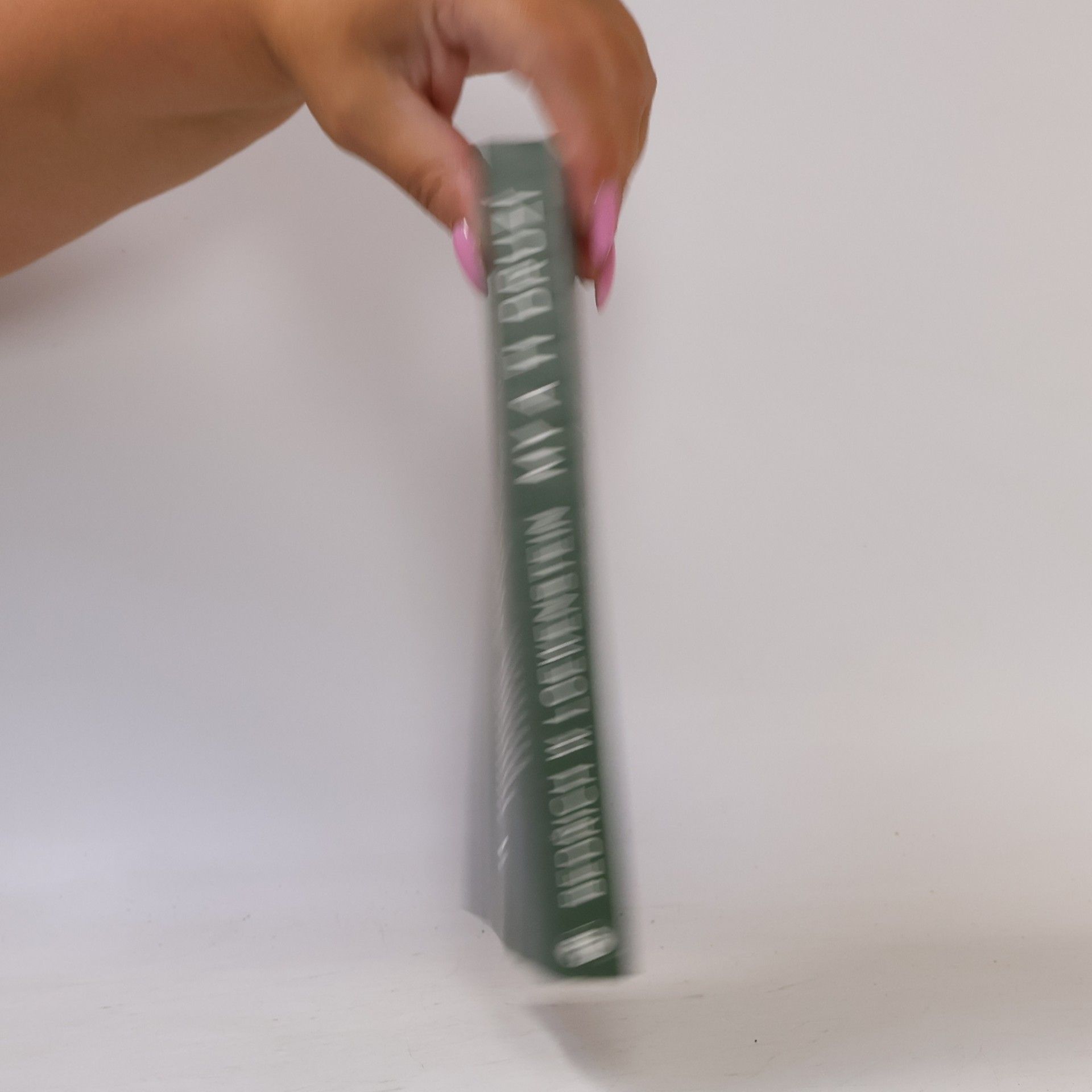 Bedřich Loewenstein My a ti druzí. Dějiny, psychologie, antropologie
