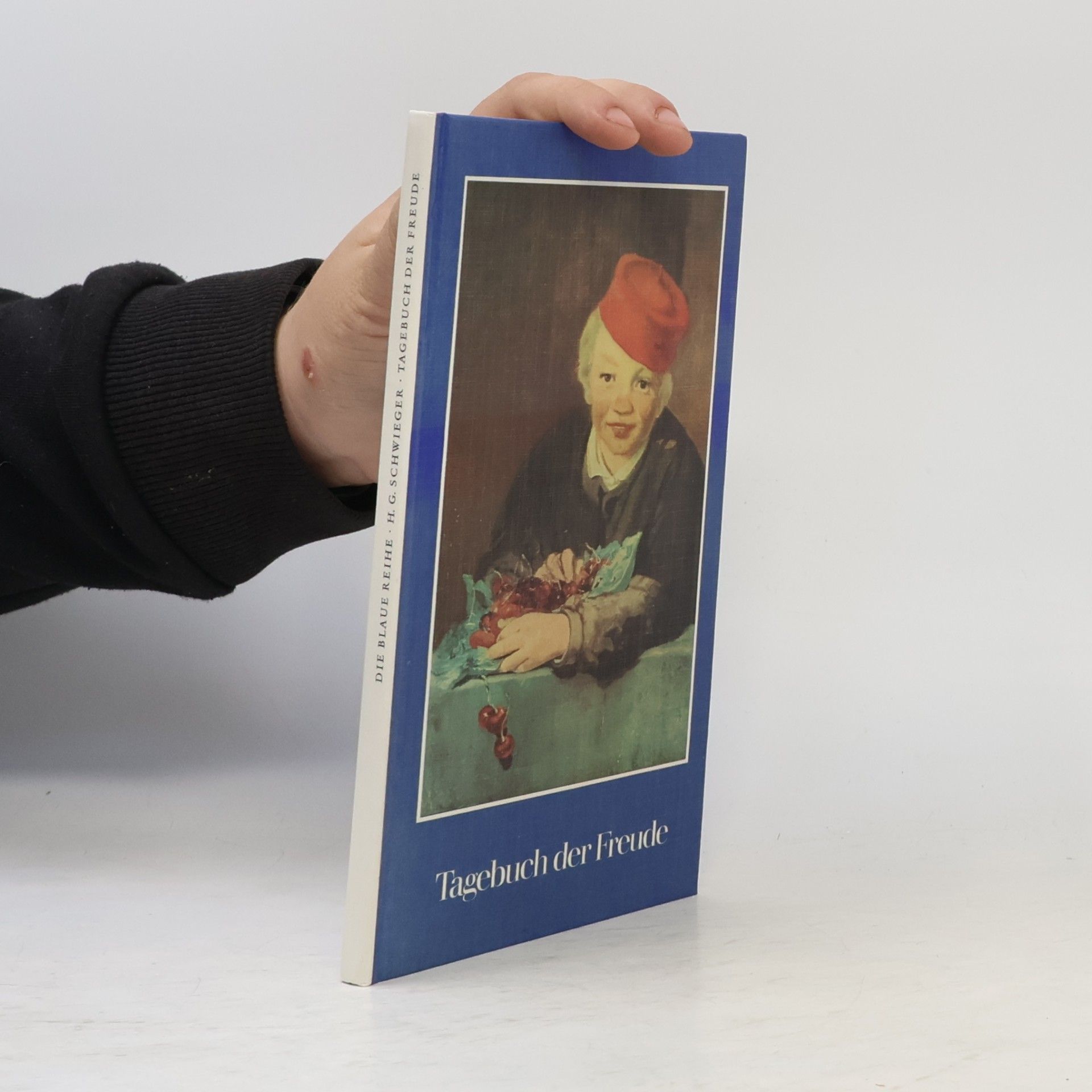 Die Blaue Reihe: Tagebuch der Freude