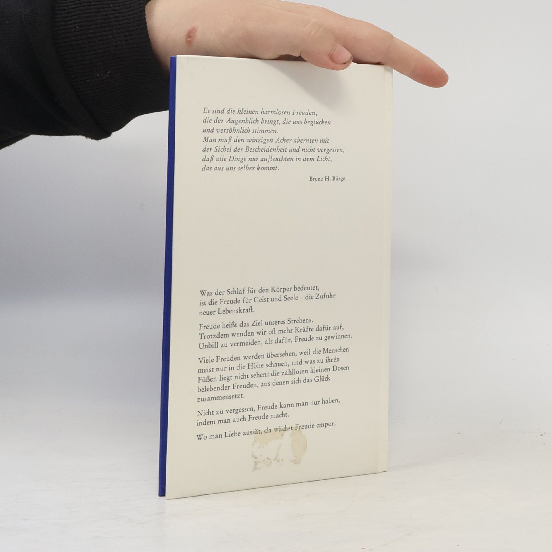 Heinz G. Schwieger Die Blaue Reihe: Tagebuch der Freude