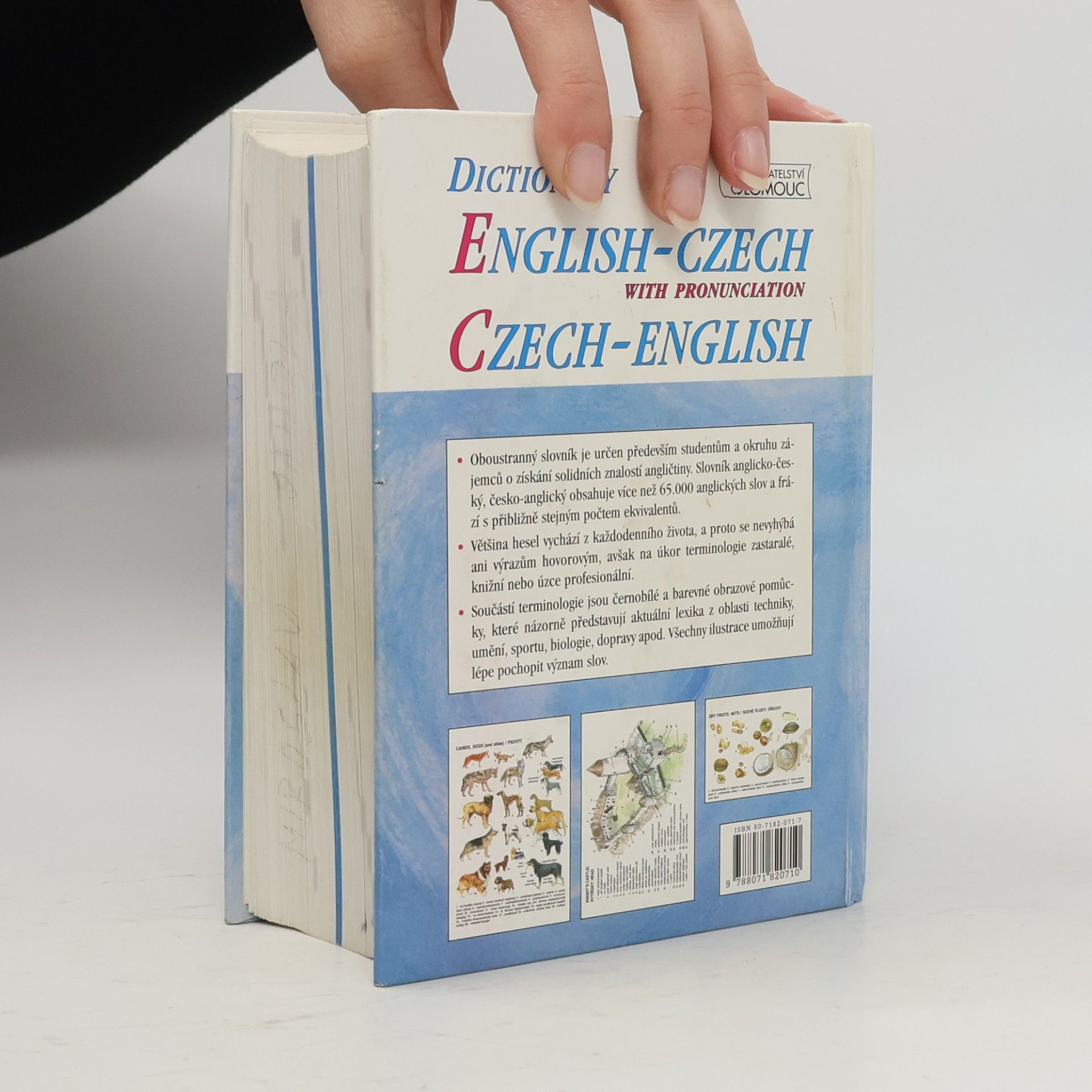 Autorenkollektiv Slovník anglicko-český, česko-anglický s výslovností