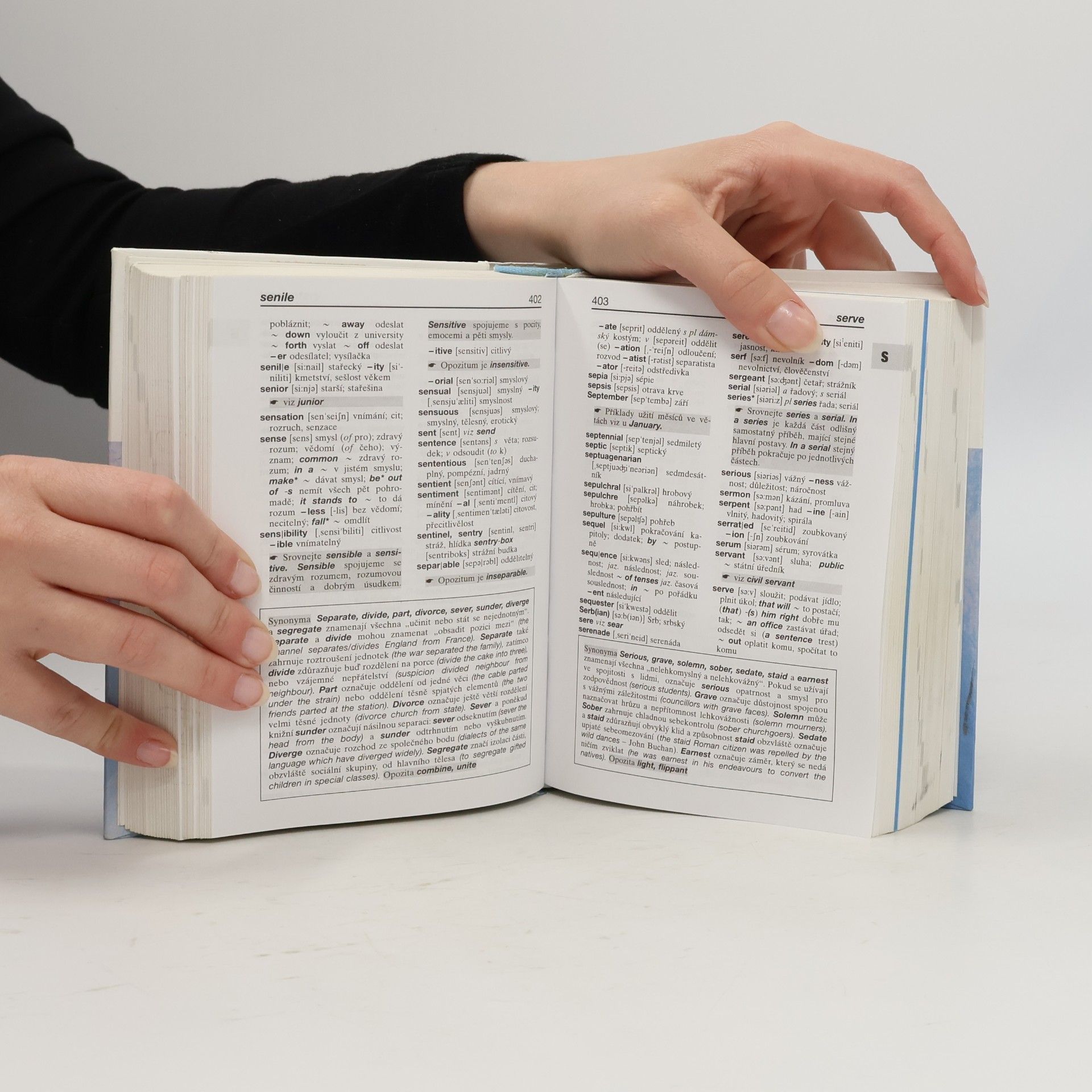 Autorenkollektiv Slovník anglicko-český, česko-anglický s výslovností