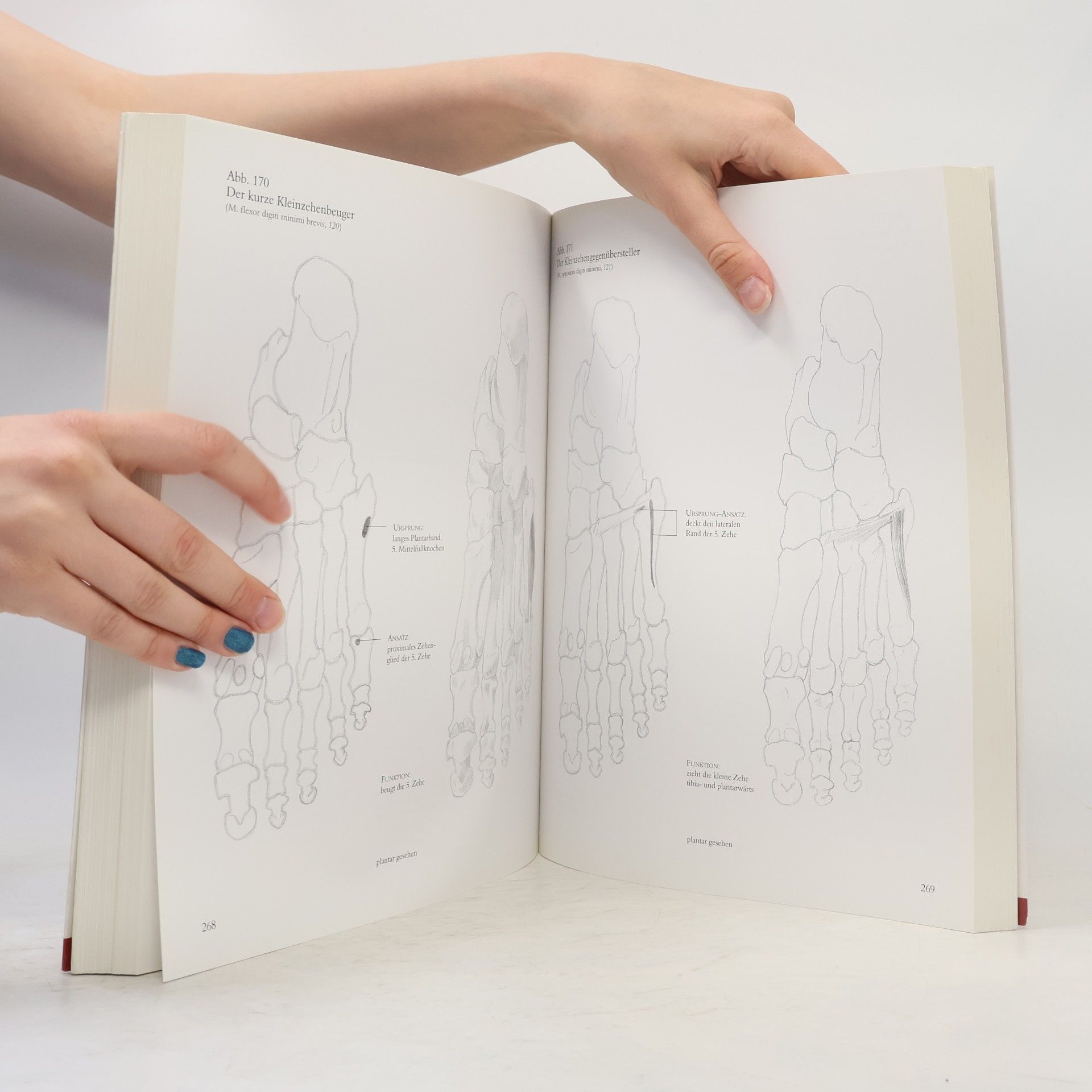 András Szunyoghy Menschliche Anatomie für Künstler
