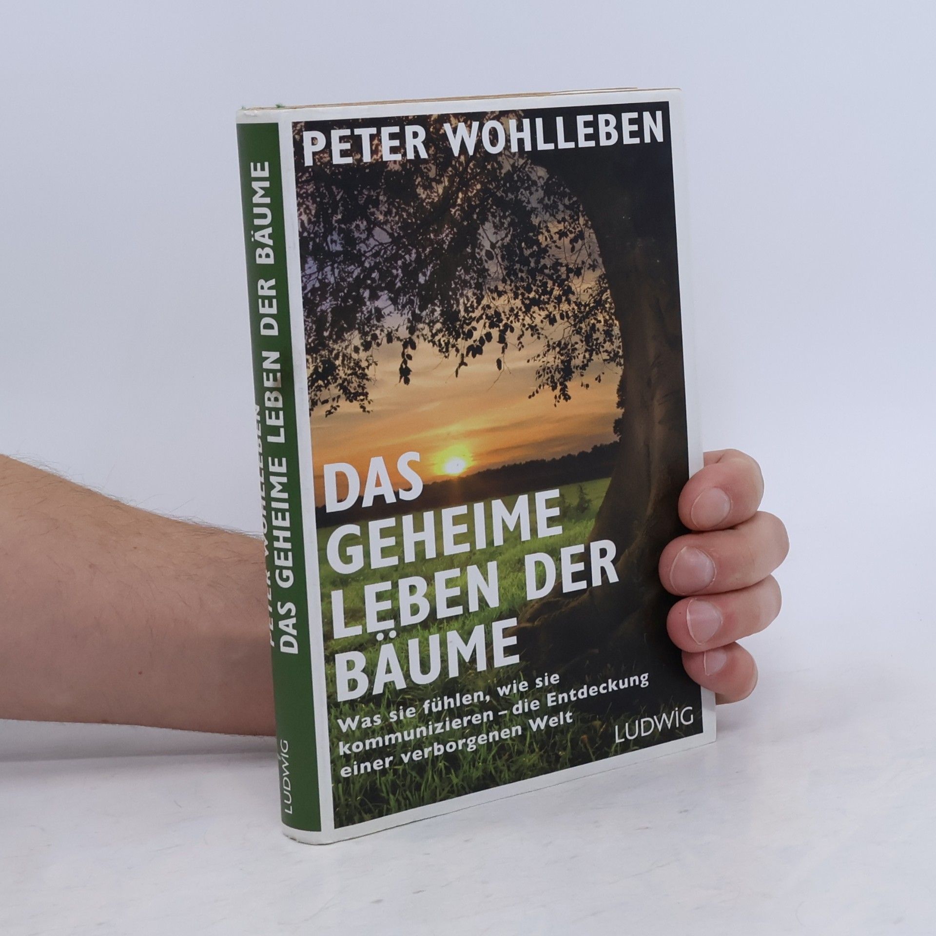 Peter Wohlleben Das geheime Leben der Bäume