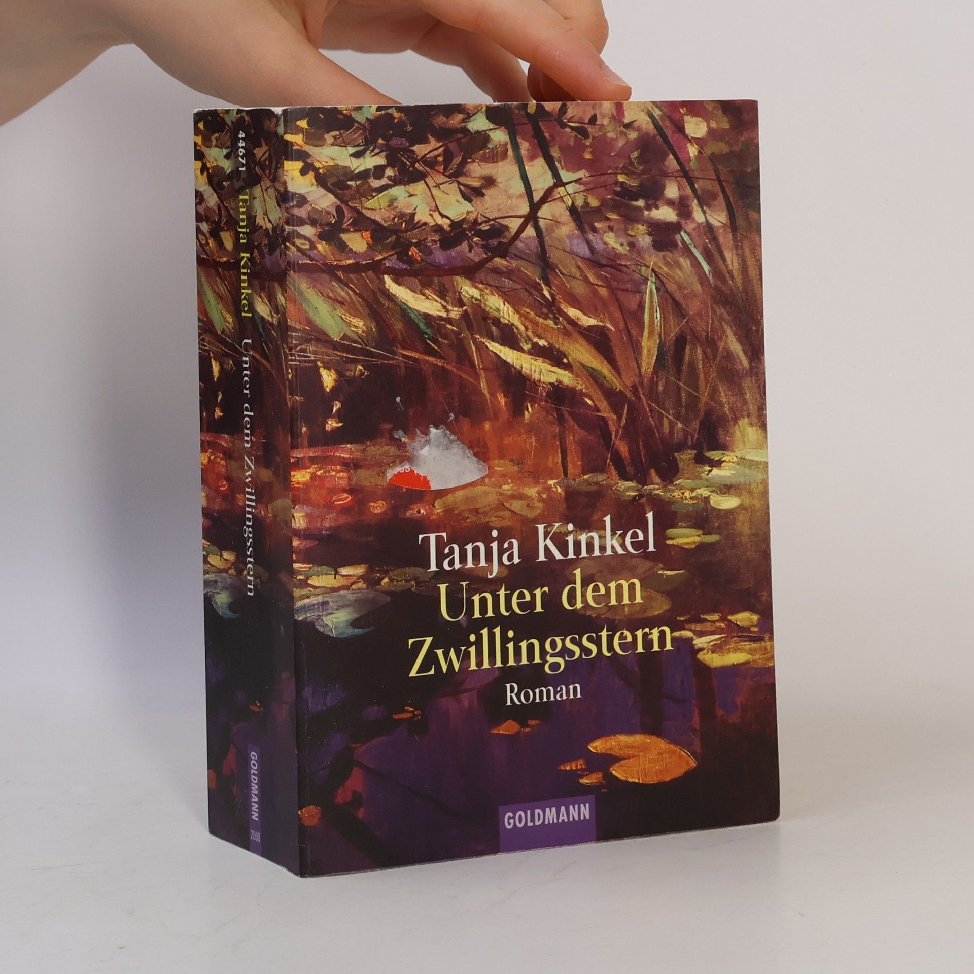 Tanja Kinkel Unter dem Zwillingsstern