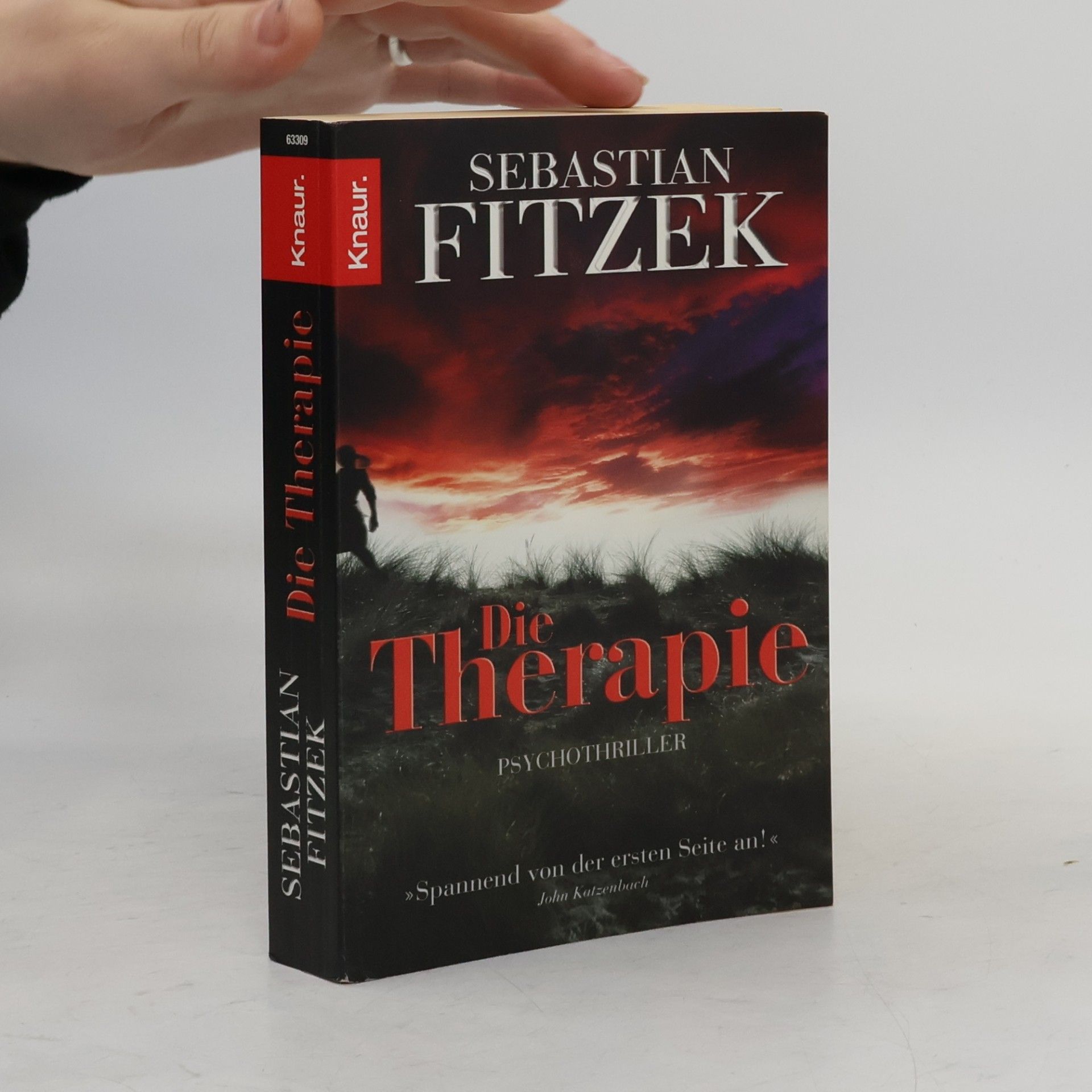 Sebastian Fitzek Die Therapie