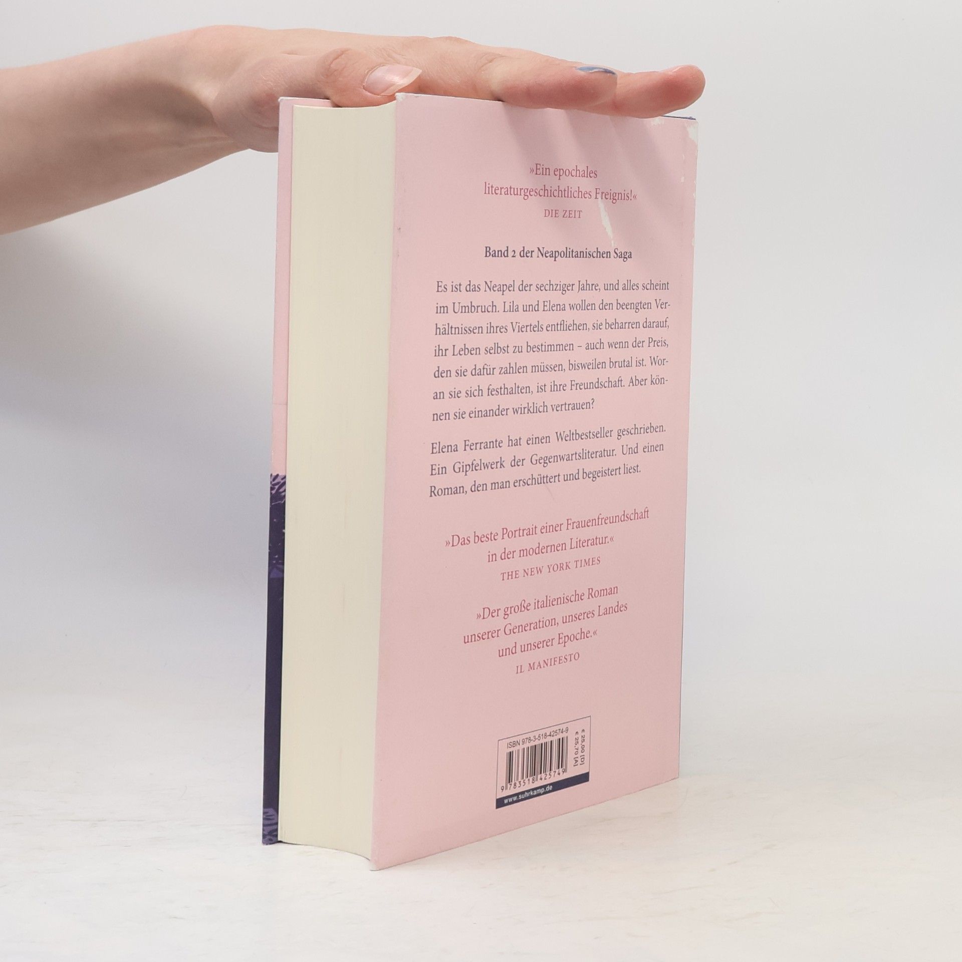 Elena Ferrante Die Geschichte eines neuen Namens: Jugendjahre