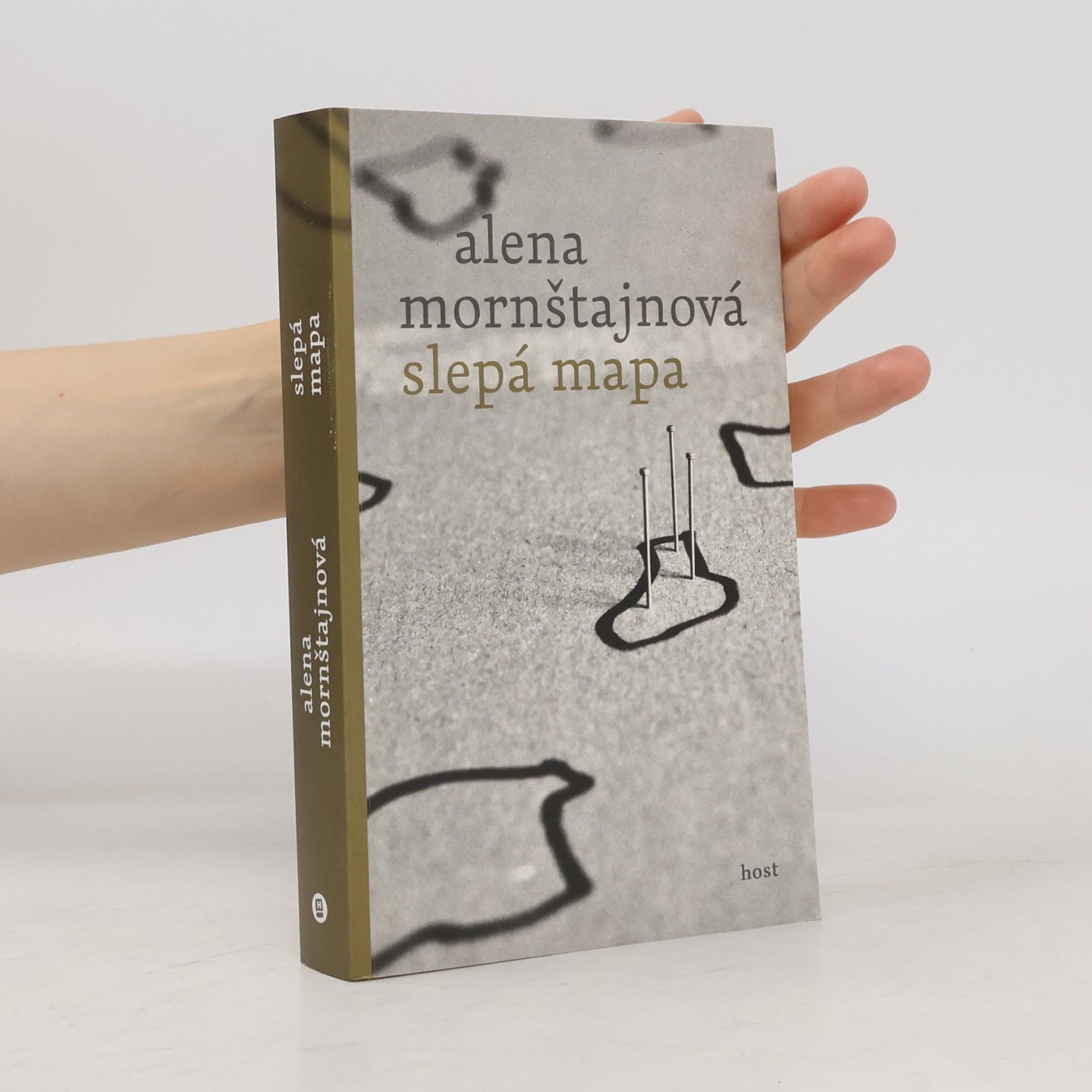 Alena Mornštajnová Slepá mapa