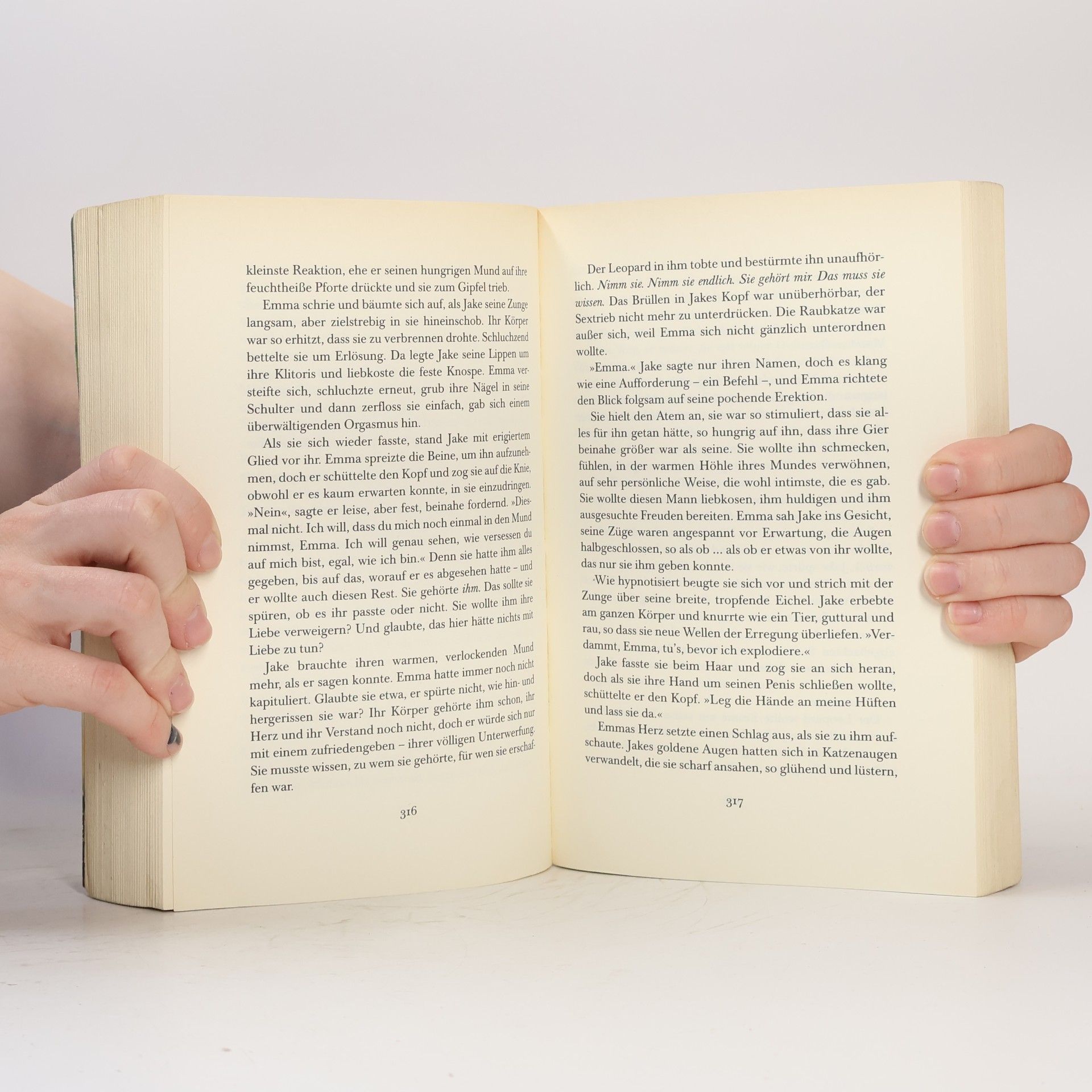 Christine Feehan Magisches Feuer