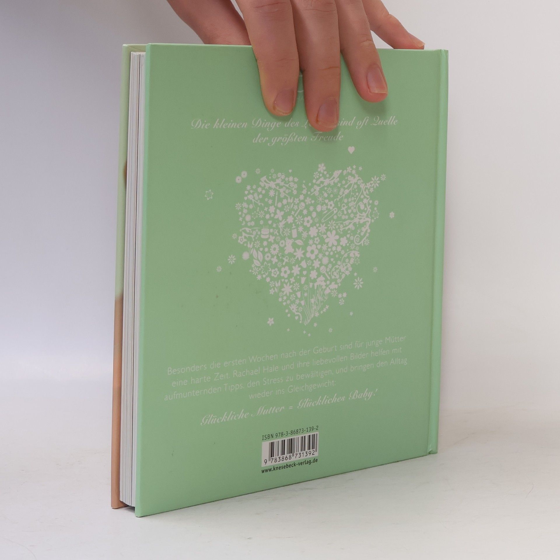 Rachael McKenna The Happy Baby Book