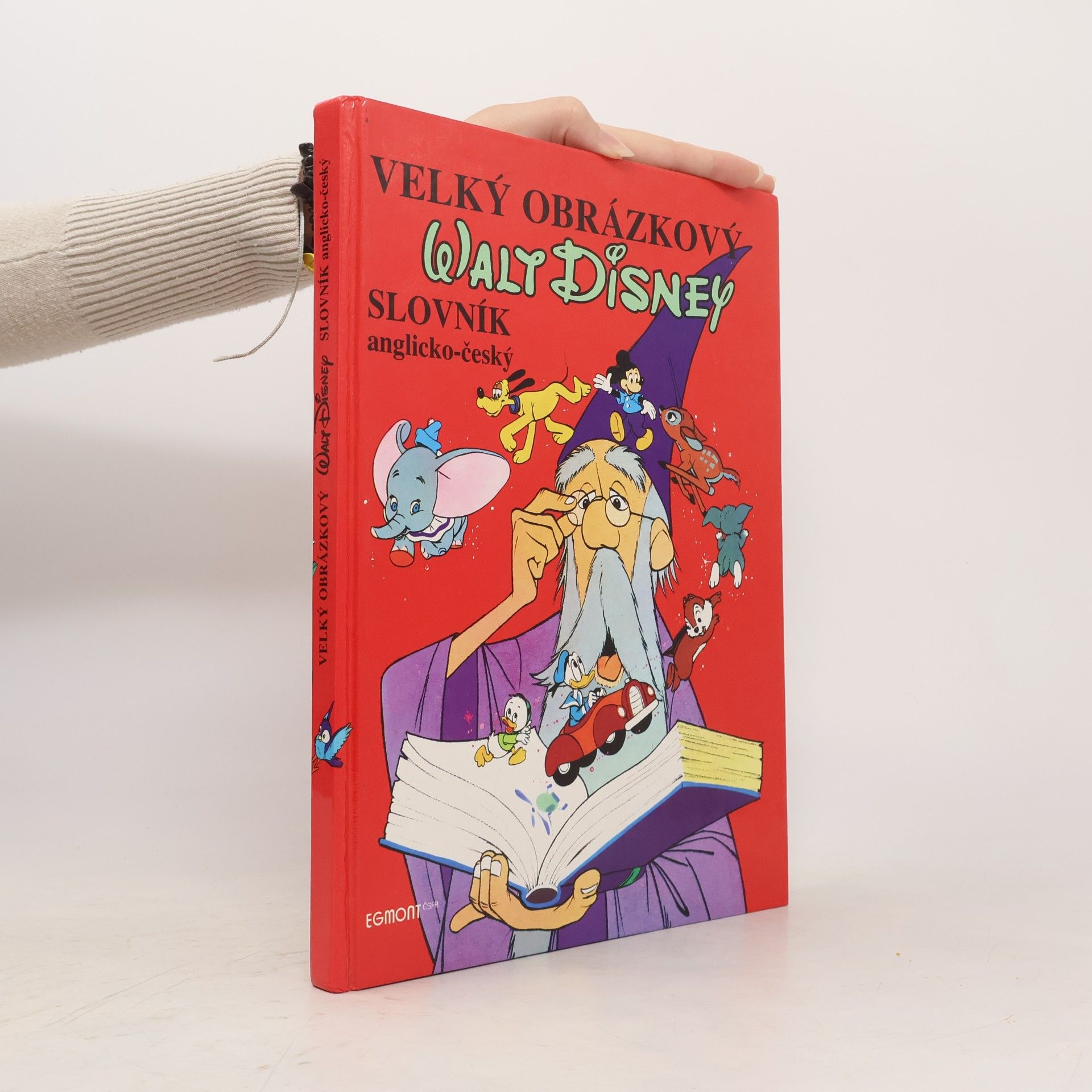 Autorenkollektiv Velký obrázkový Walt Disney slovník německo-český