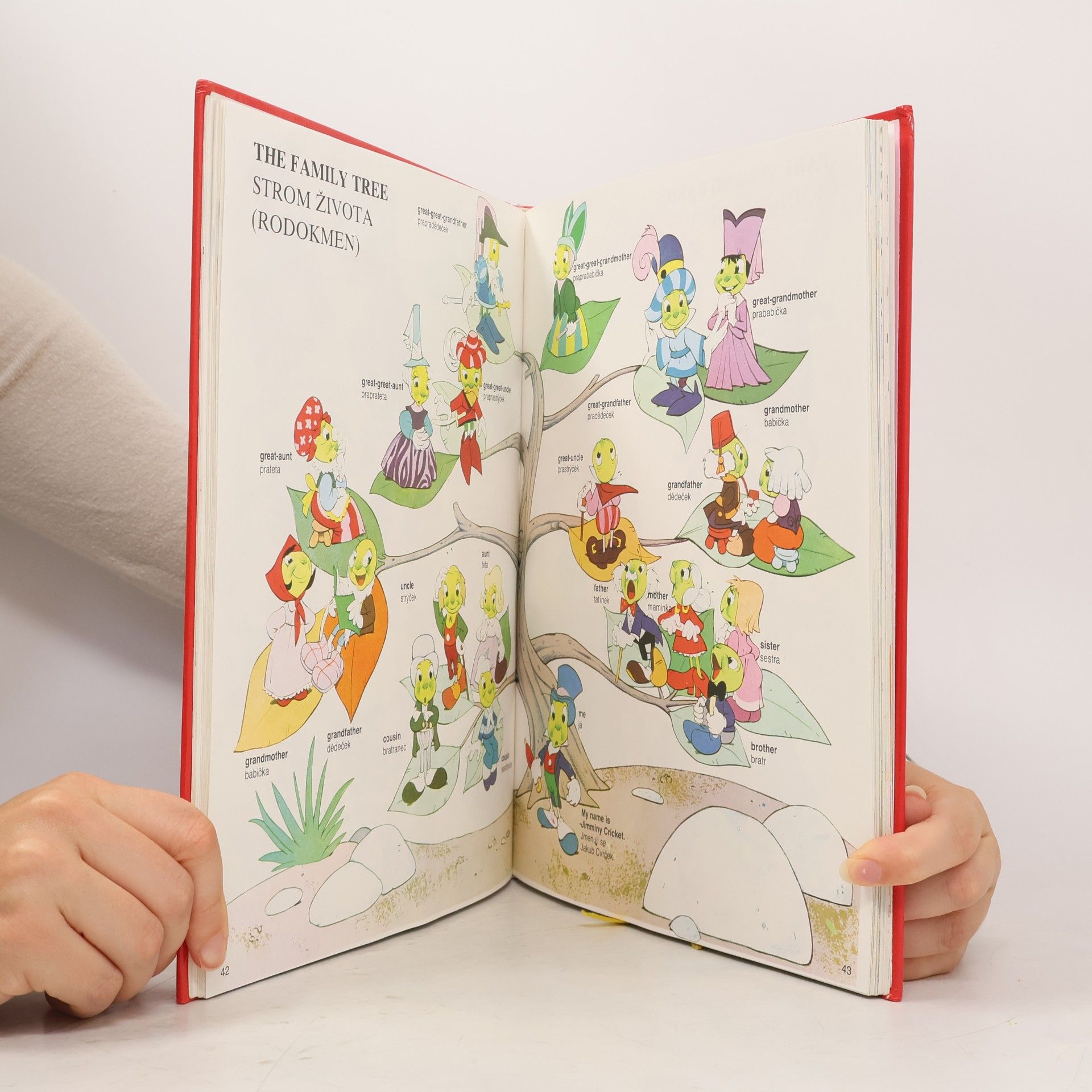 Autorenkollektiv Velký obrázkový Walt Disney slovník německo-český