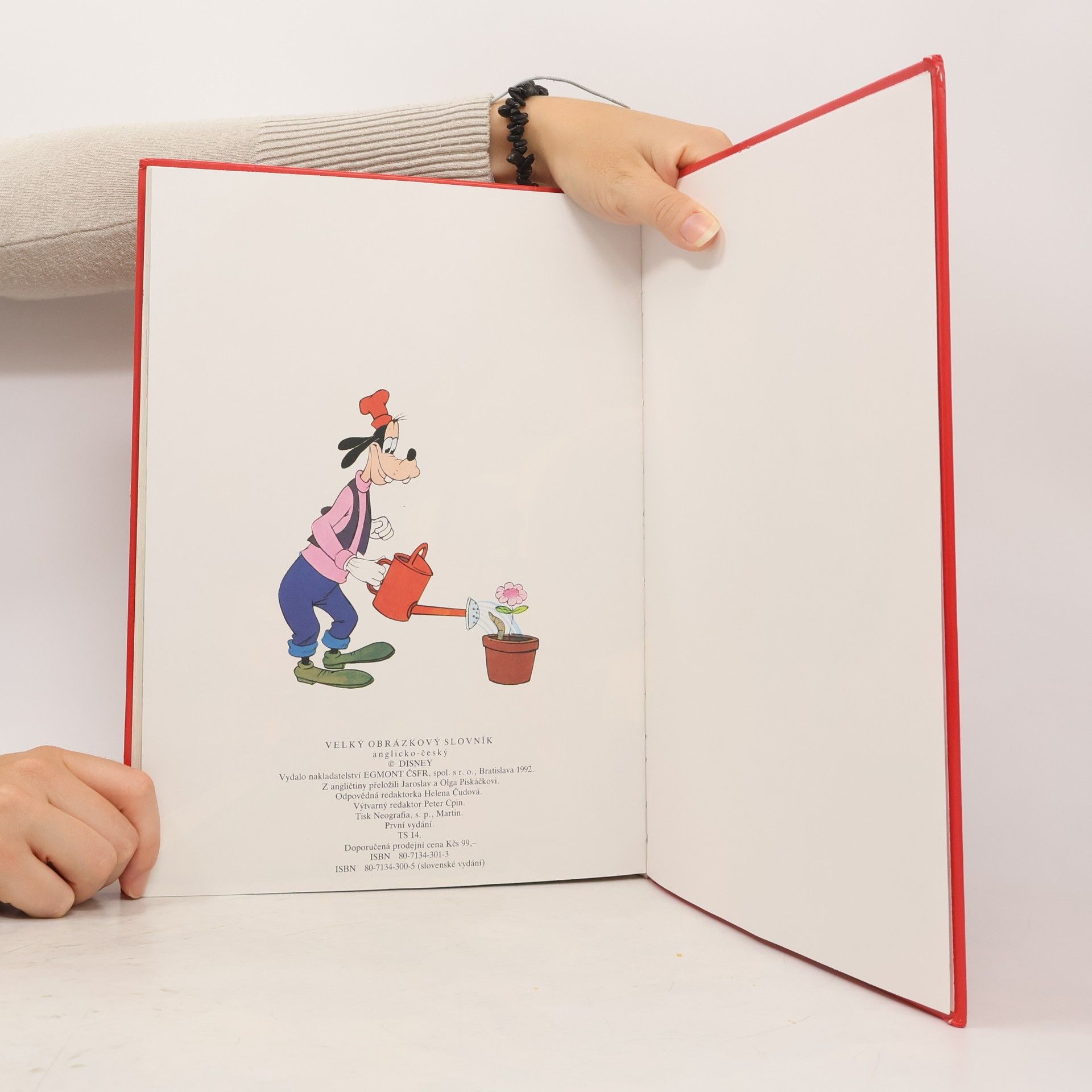Autorenkollektiv Velký obrázkový Walt Disney slovník německo-český