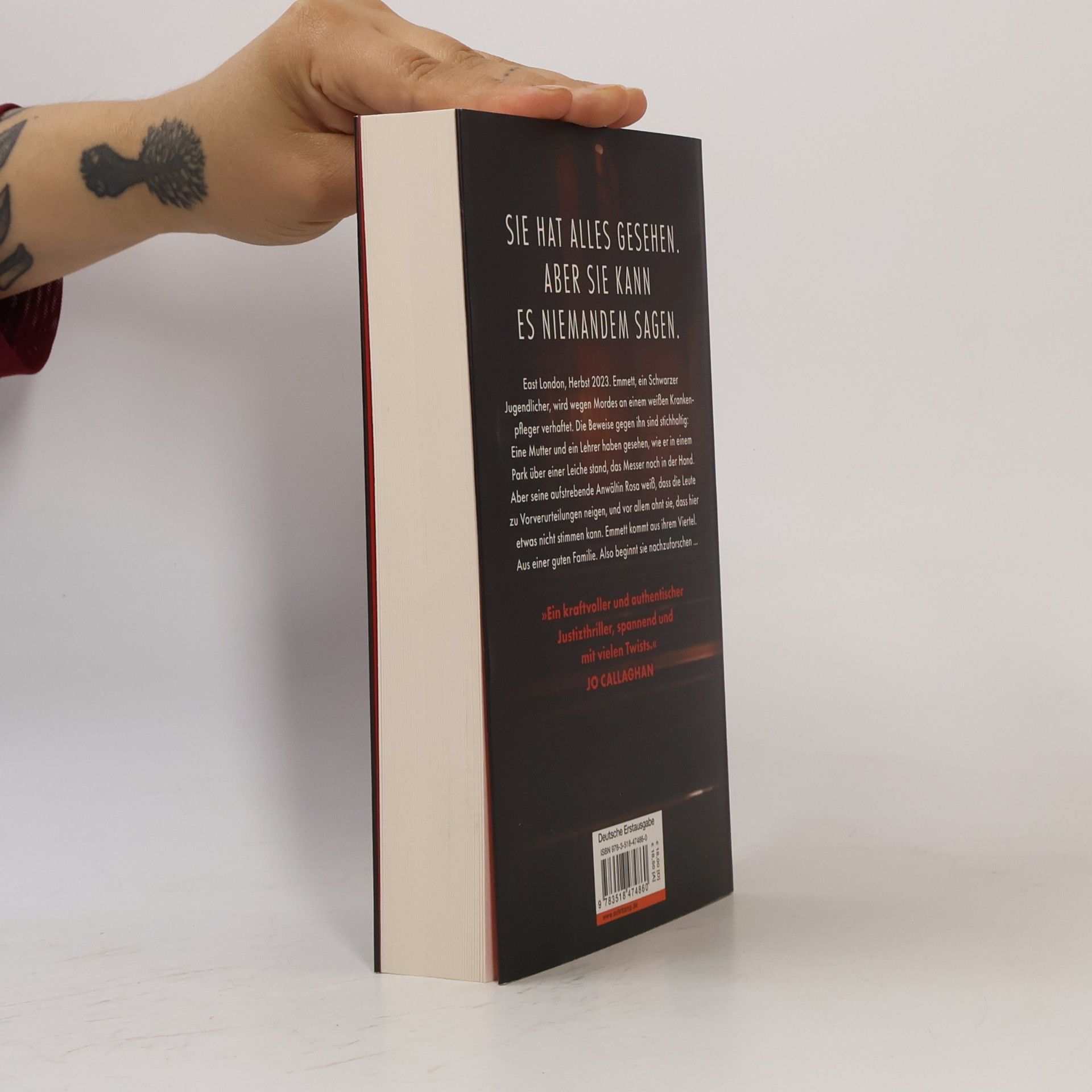 Alexandra Wilson Die feindliche Zeugin