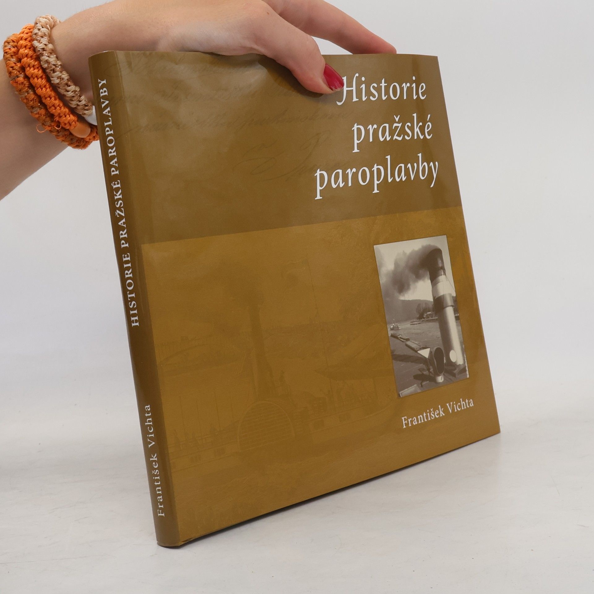František Vichta Historie pražské paroplavby