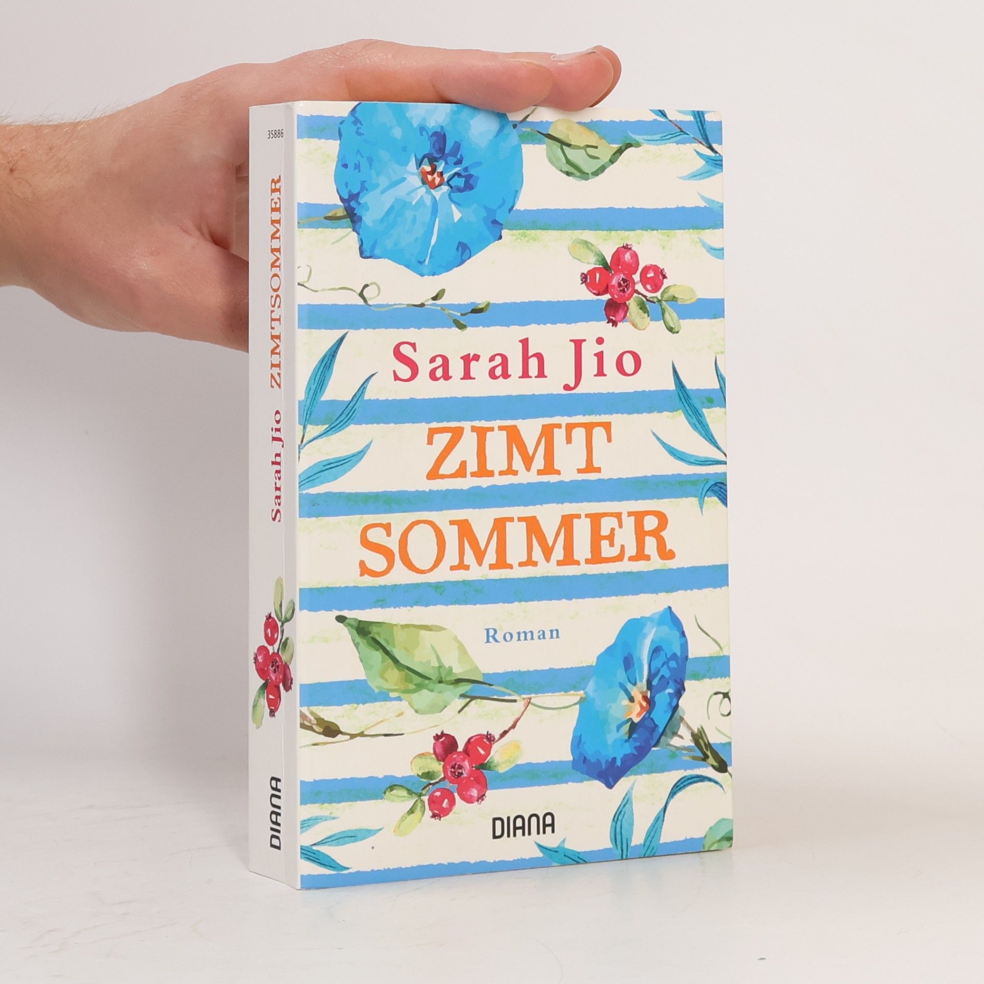 Sarah Jio Zimtsommer