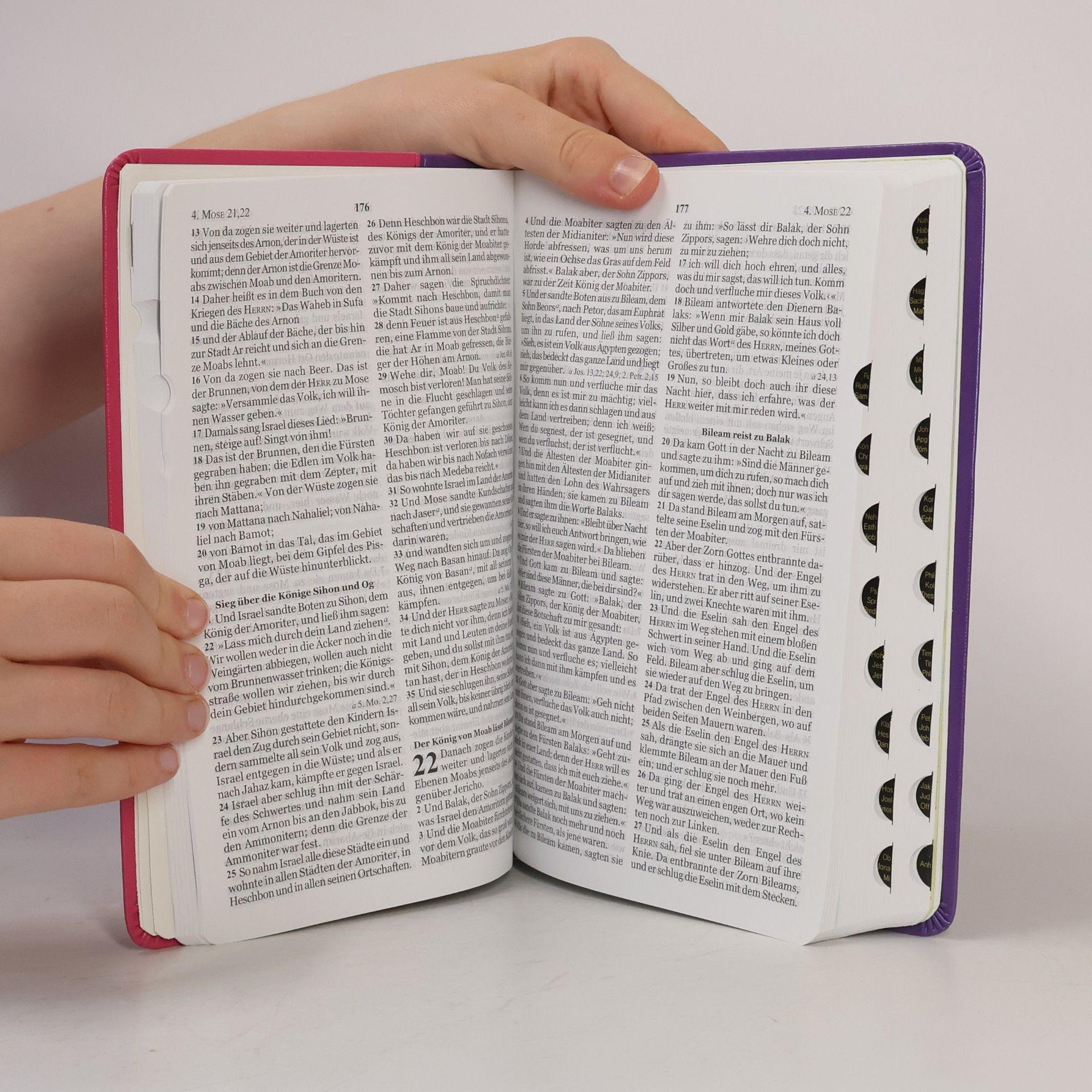 NeueLuther Bibel