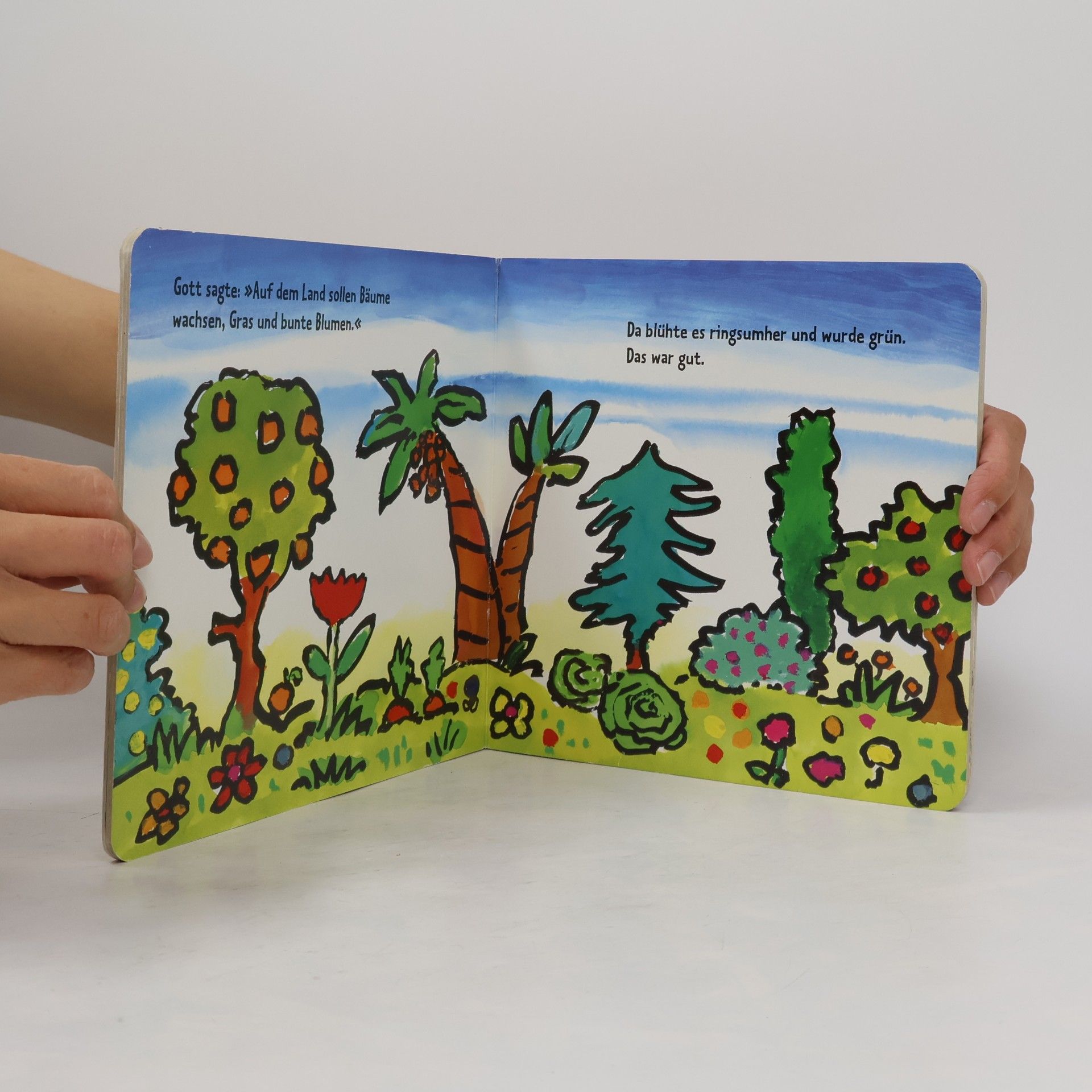 Mathias Jeschke Gott macht eine bunte Welt