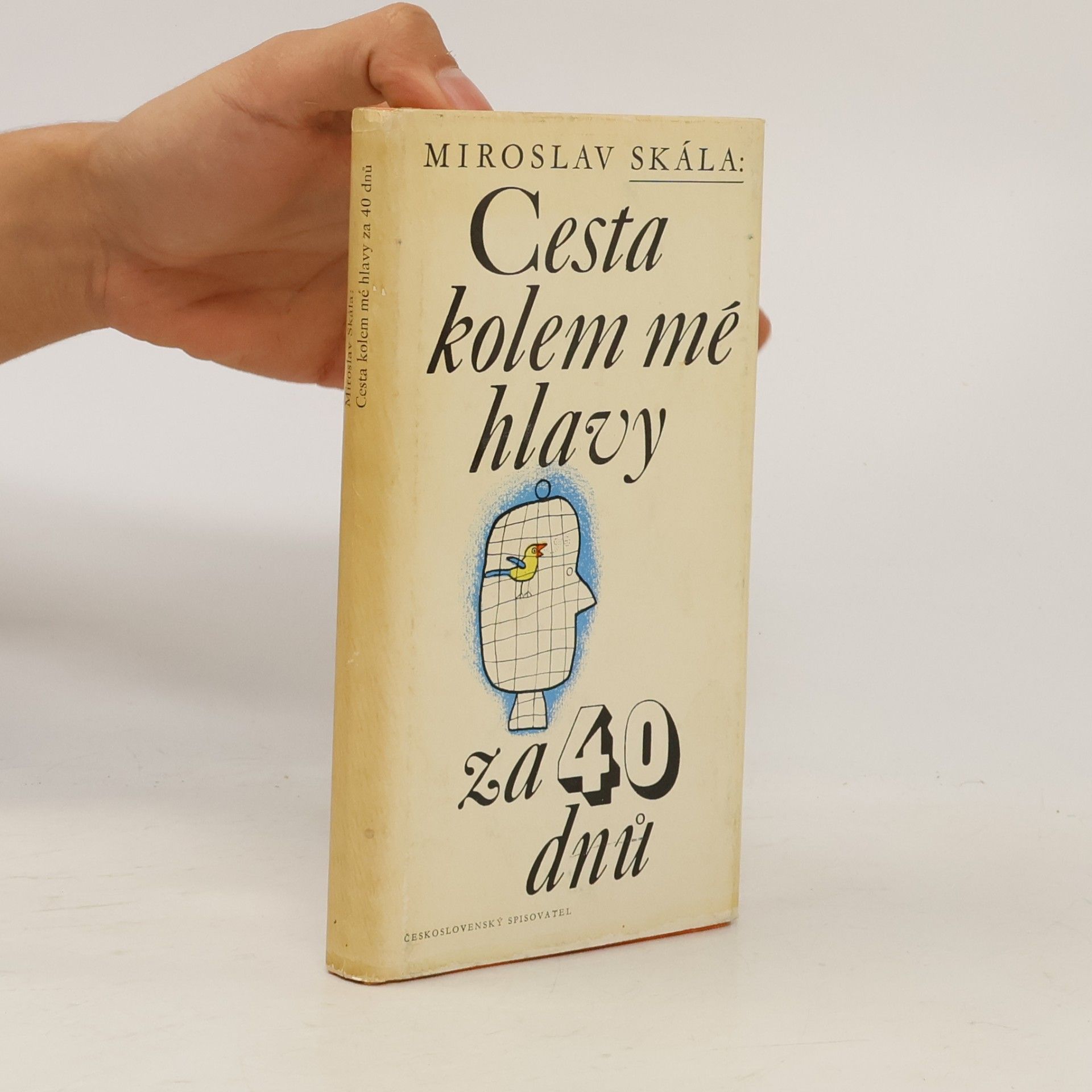 Miroslav Skála Cesta kolem mé hlavy za 40 dnů