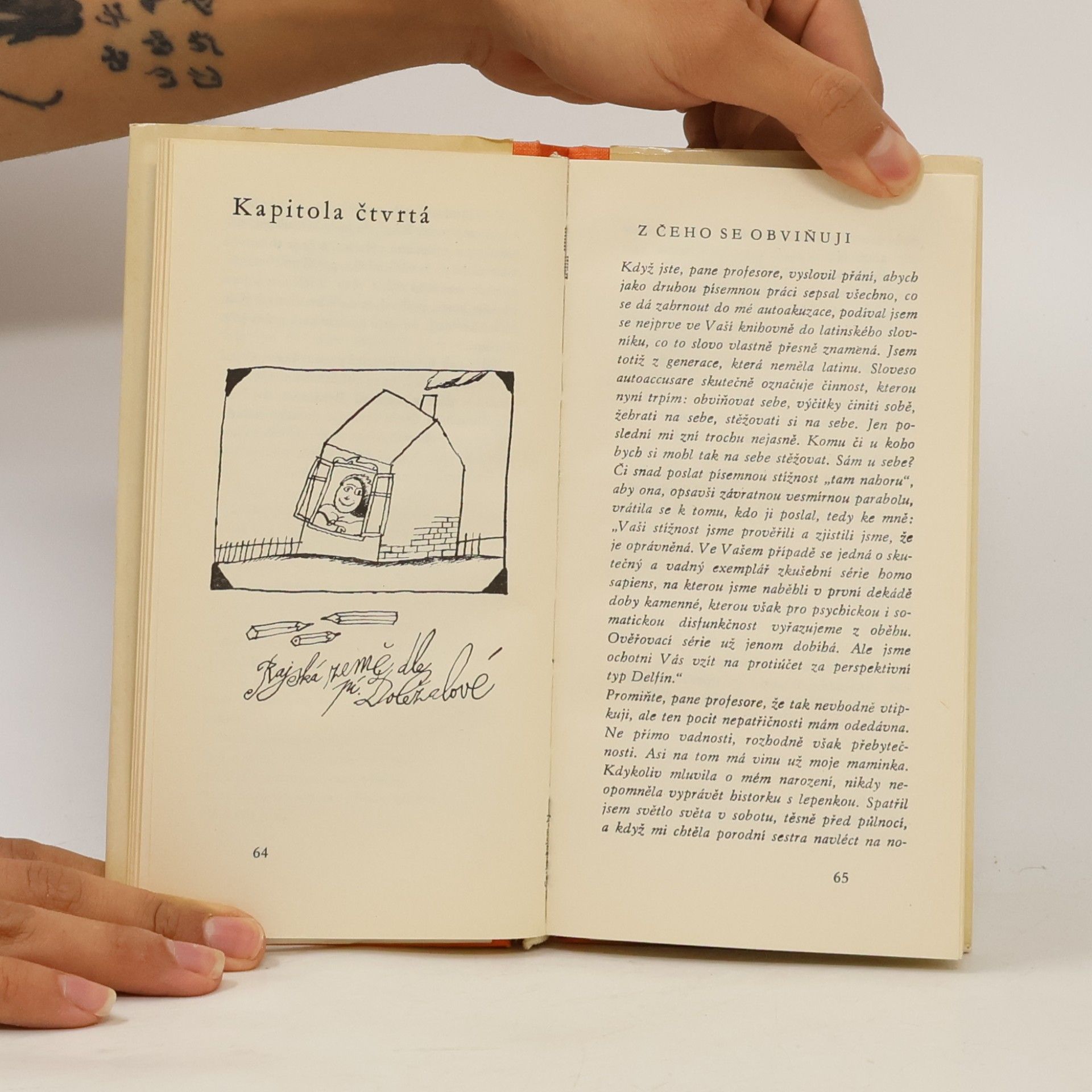 Miroslav Skála Cesta kolem mé hlavy za 40 dnů