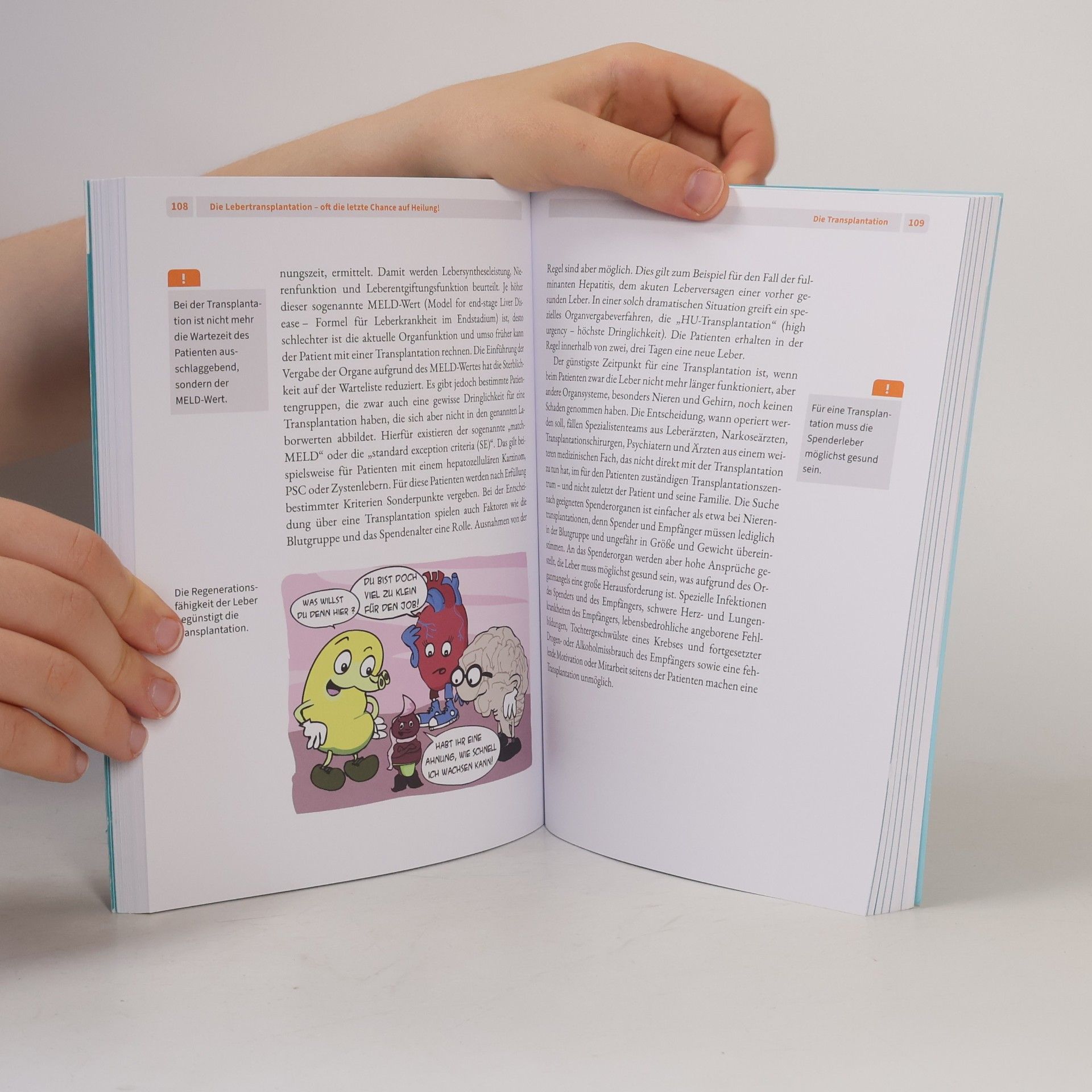 Heiner Wedemeyer Das Leber-Buch