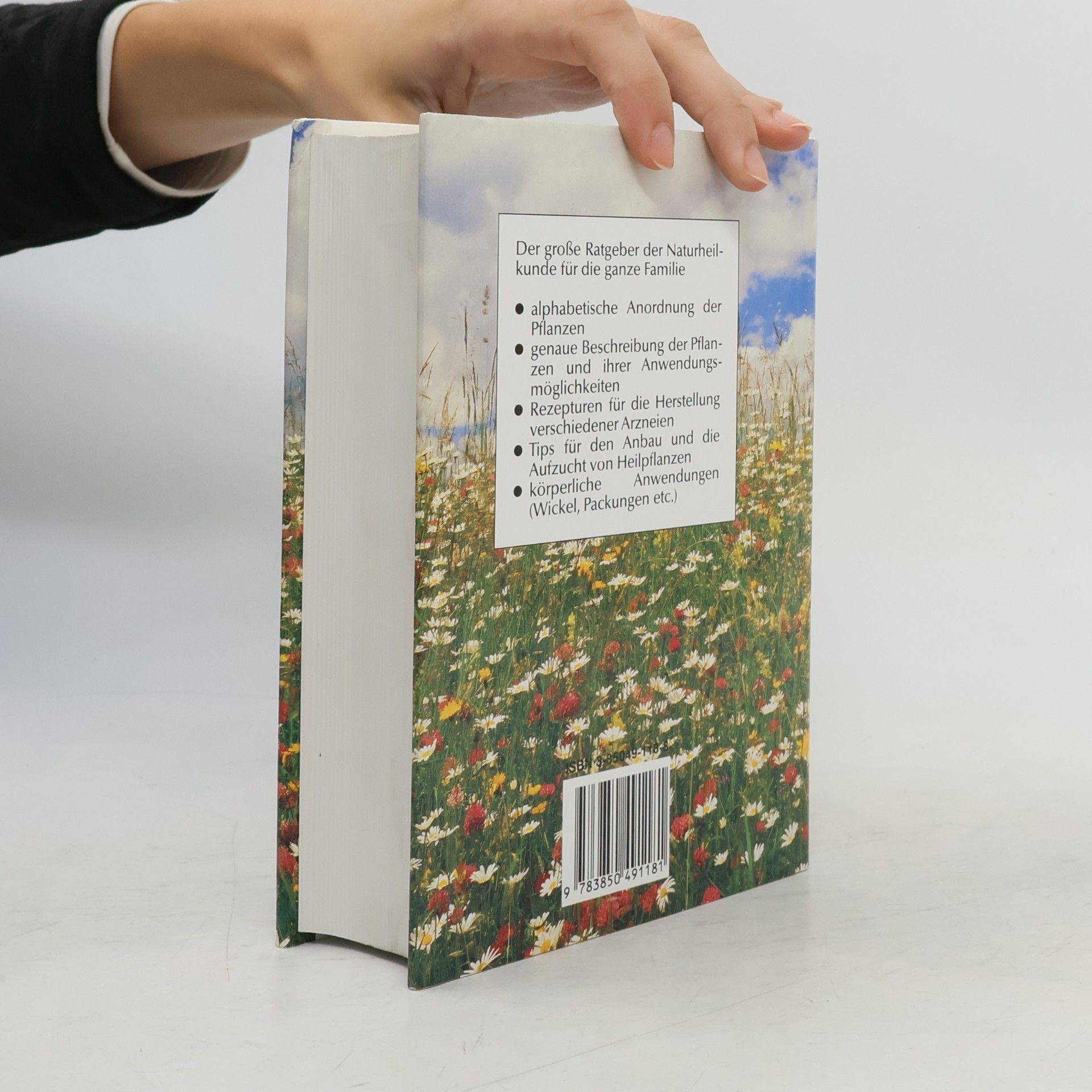 Autorenkollektiv Hausrezepte aus der Naturapotheke