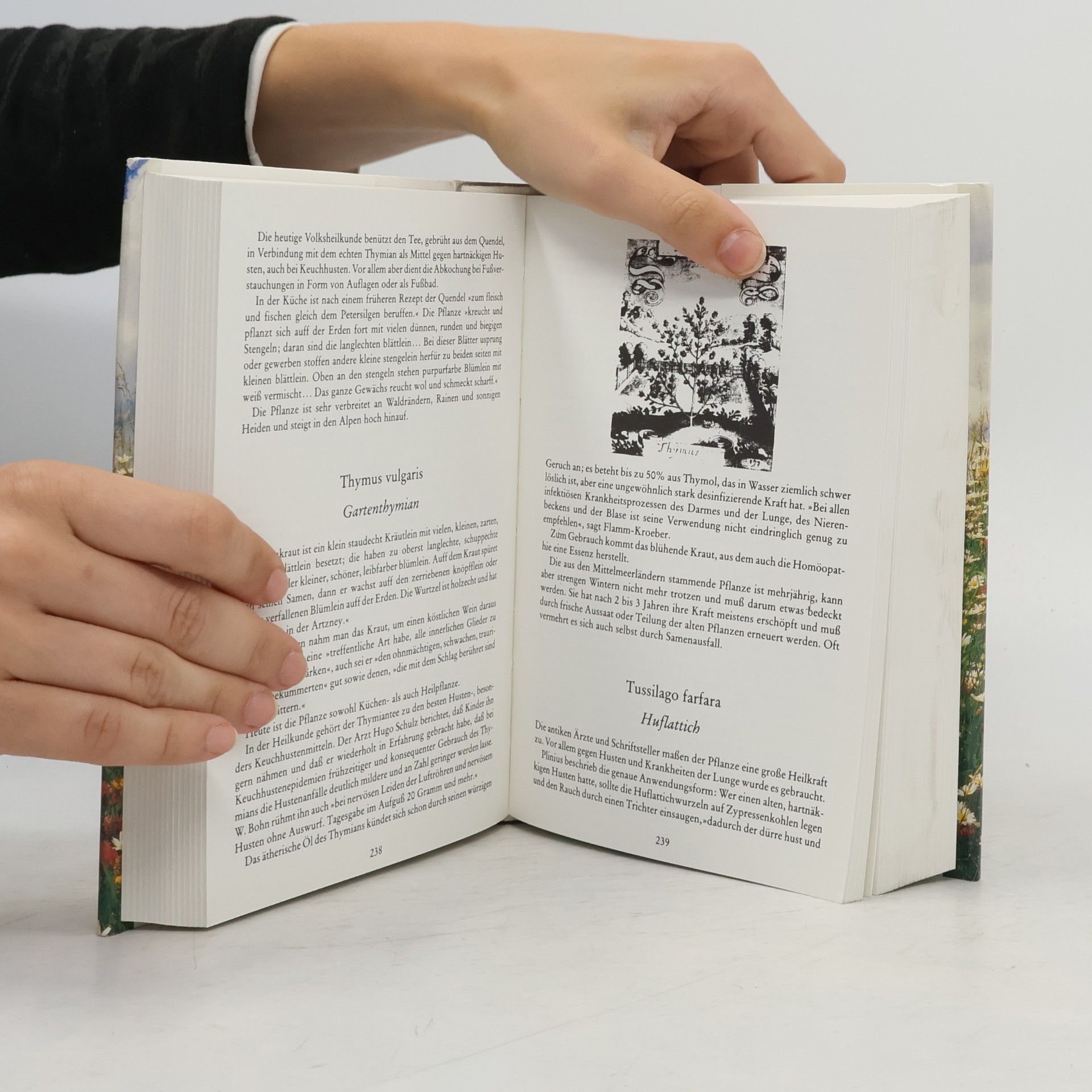Autorenkollektiv Hausrezepte aus der Naturapotheke
