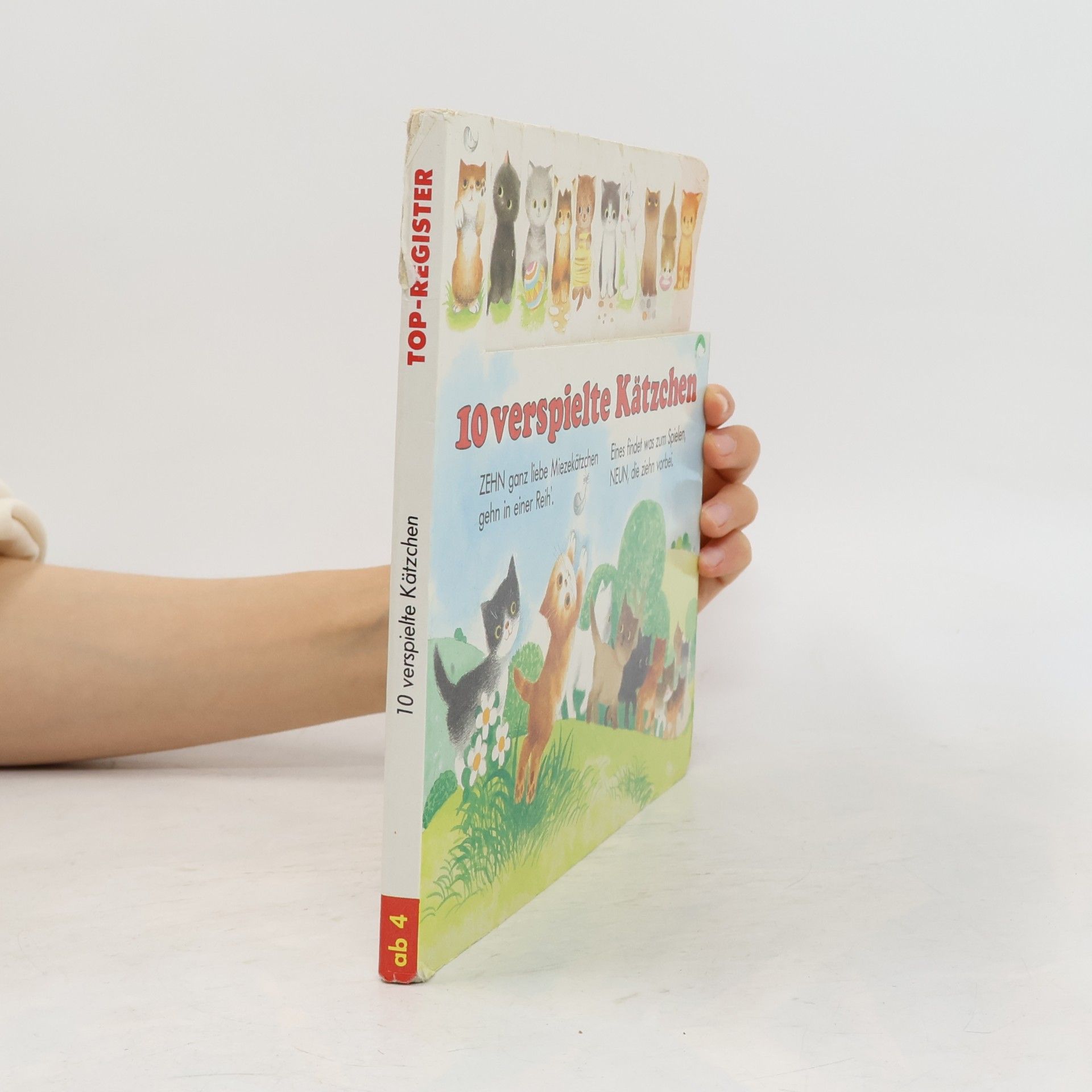 Collectif d'auteurs 10 verspielte Kätzchen