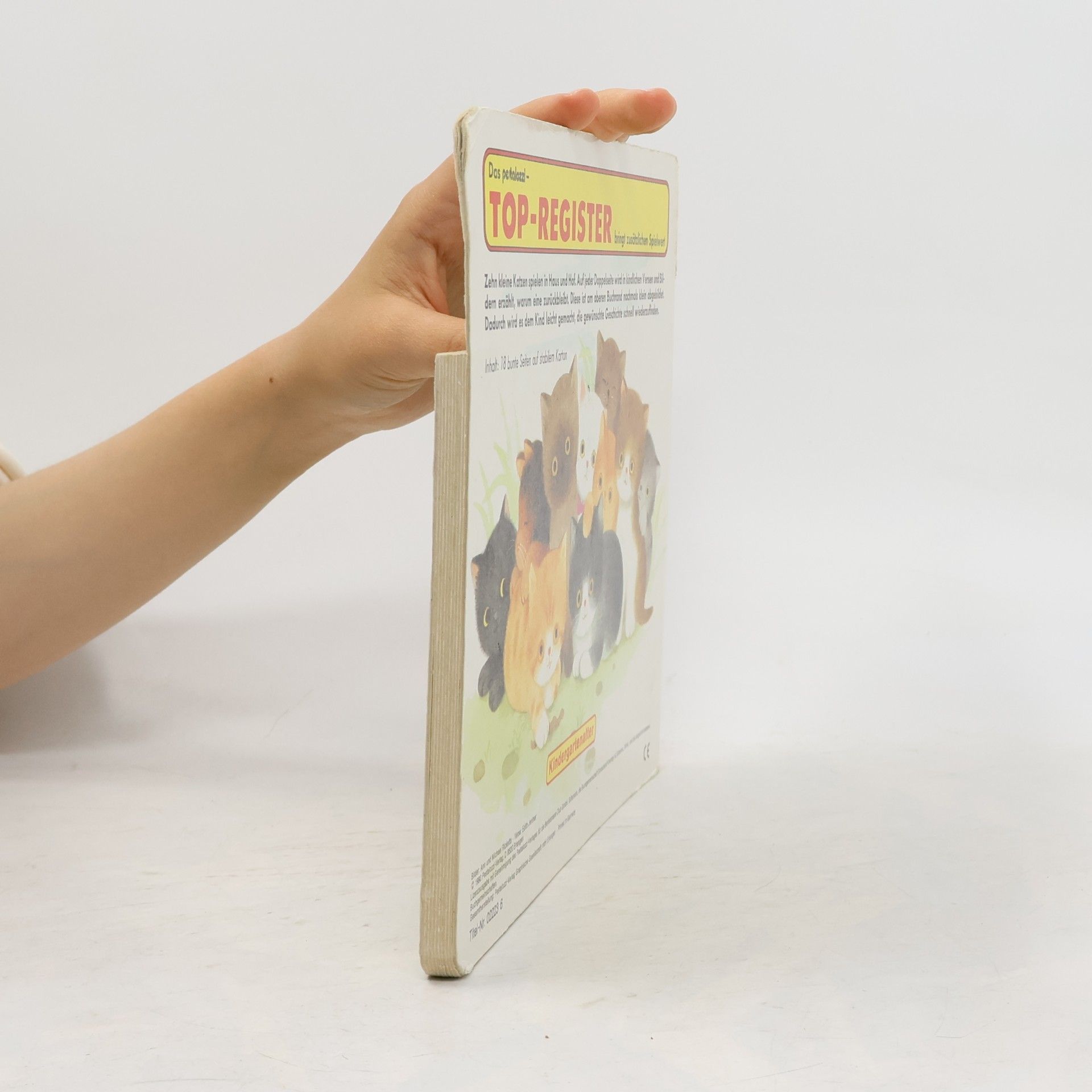 Collectif d'auteurs 10 verspielte Kätzchen