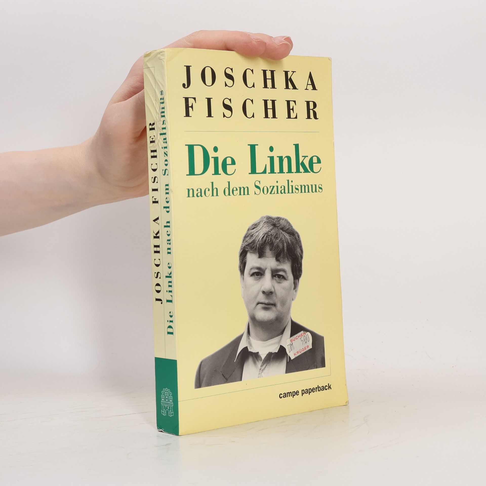 Die Linke nach dem Sozialismus