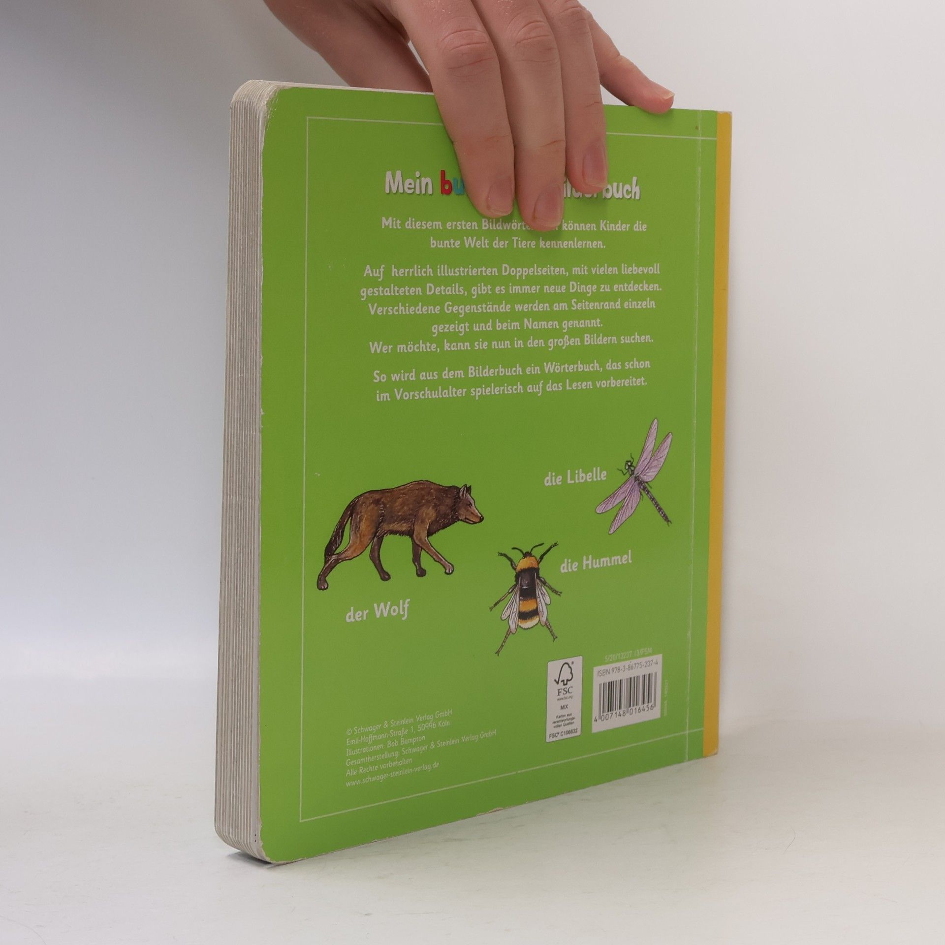 Bob Bampton Mein buntes Tierbilderbuch