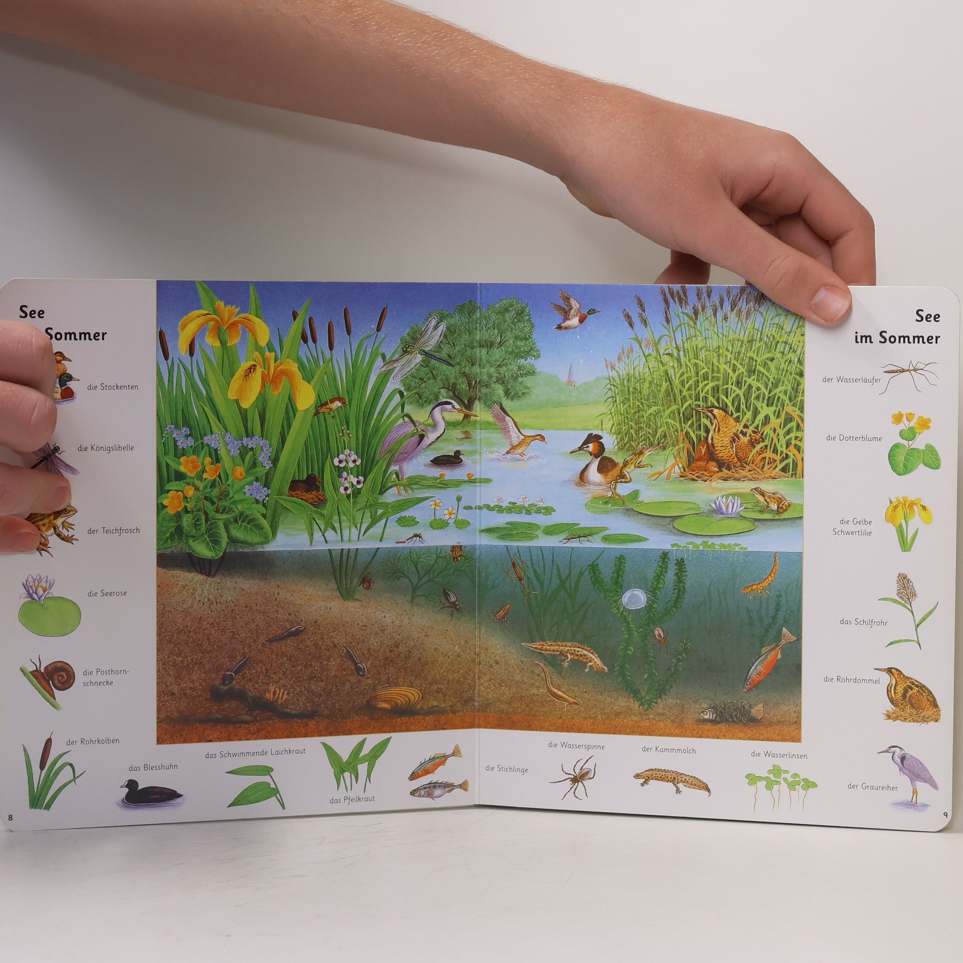 Bob Bampton Mein buntes Tierbilderbuch
