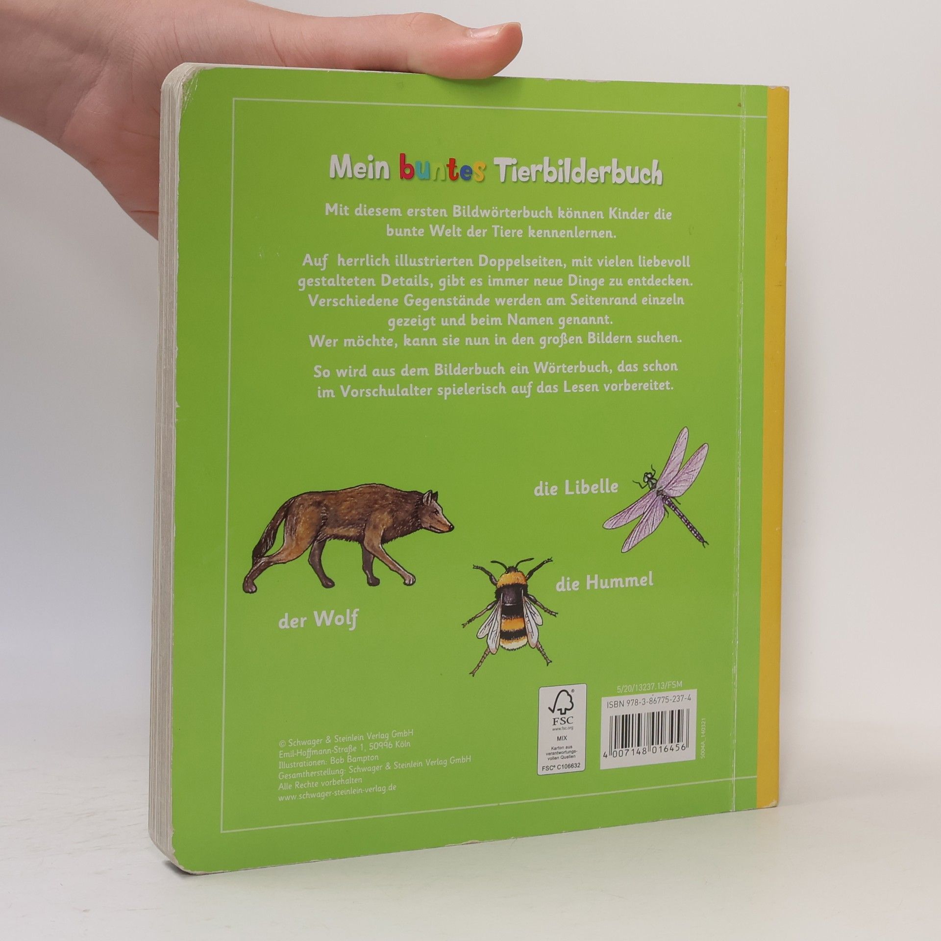 Bob Bampton Mein buntes Tierbilderbuch