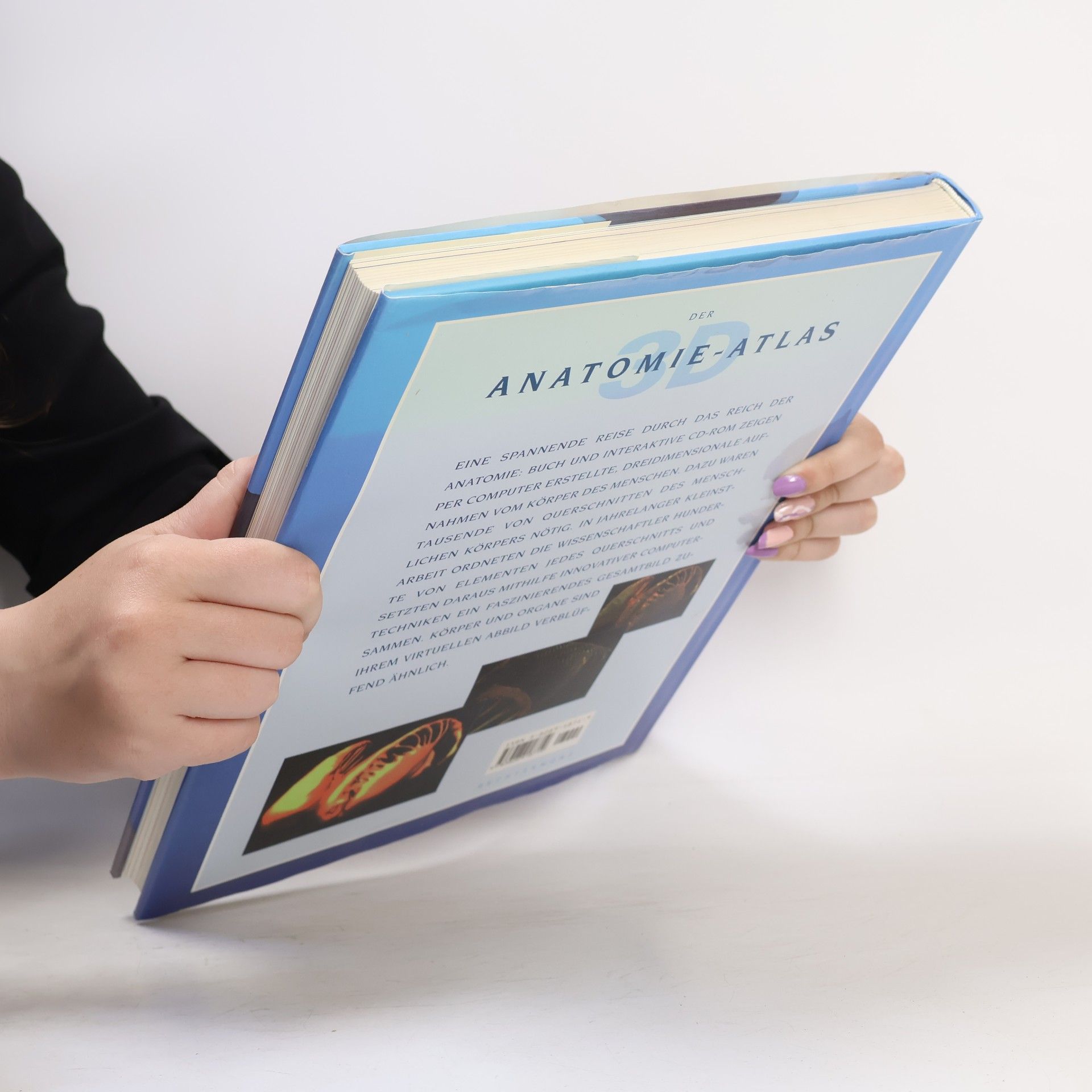 Thomas O. McCracken Der 3D Anatomie Atlas