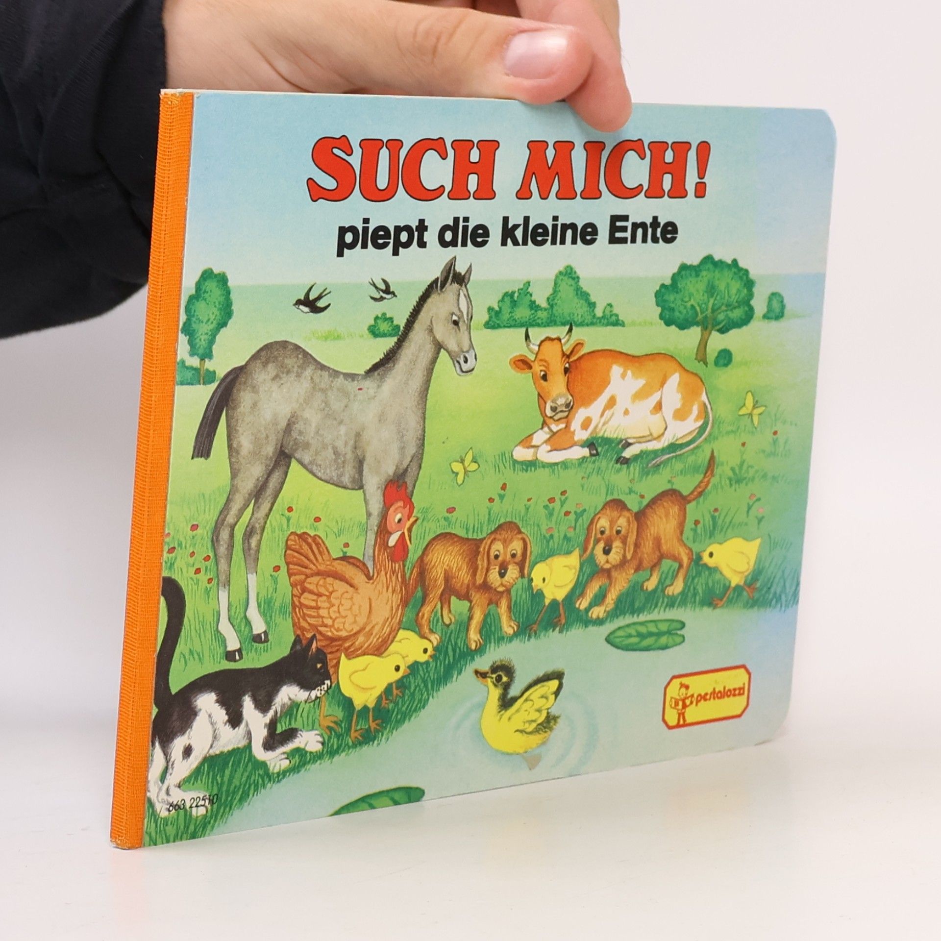 Heinrich Kita Such mich! Fiept die kleine Maus