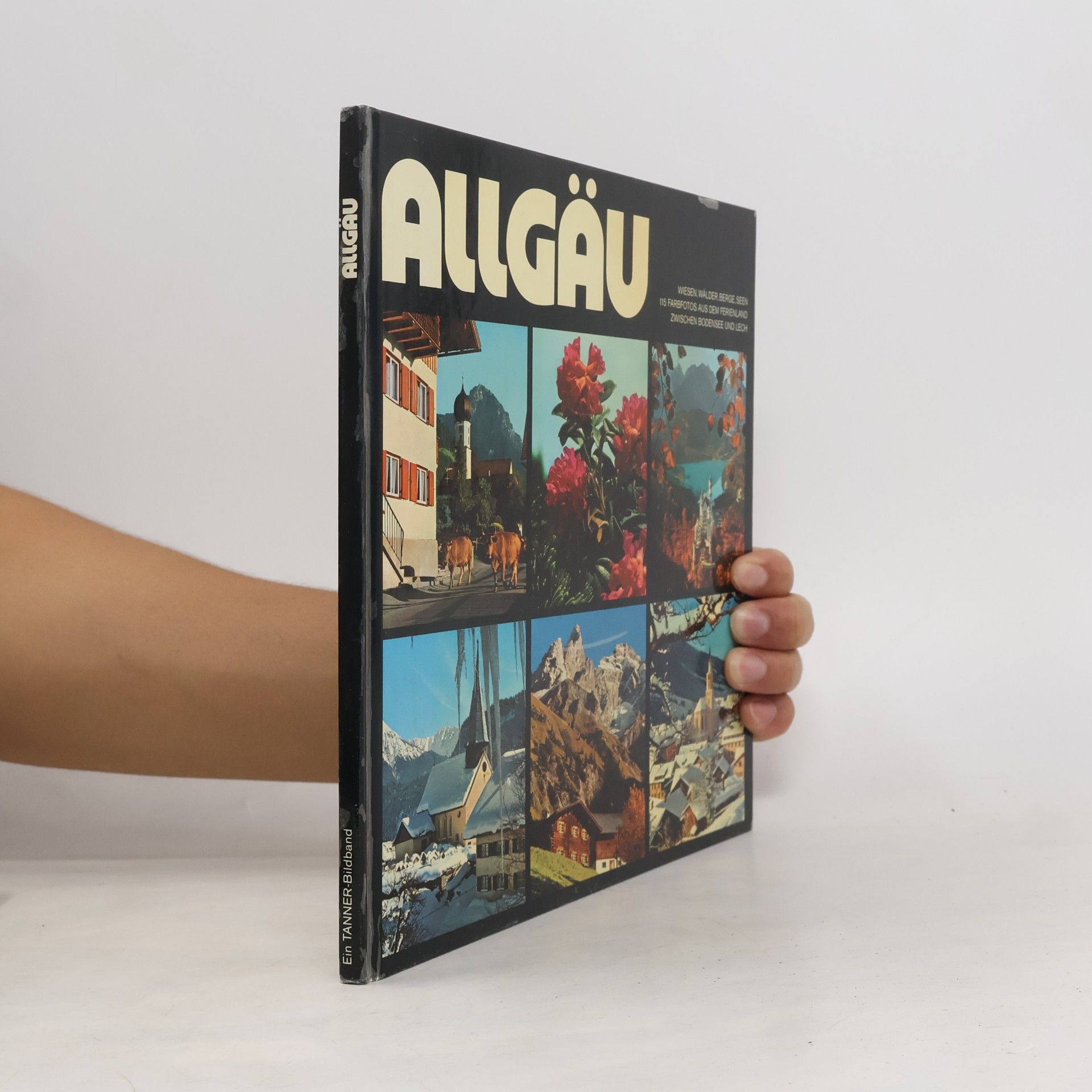 Theo Riegler Allgäu