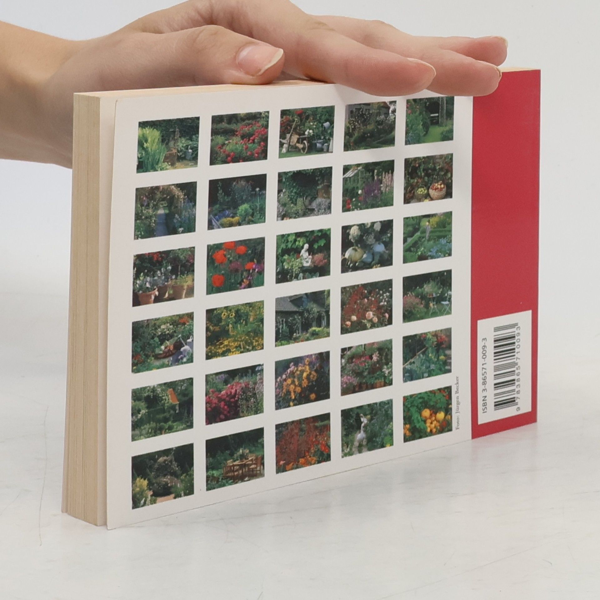 Bauerngärten / Rustic Gardens / Jardins de Permes: Postkartenbuch